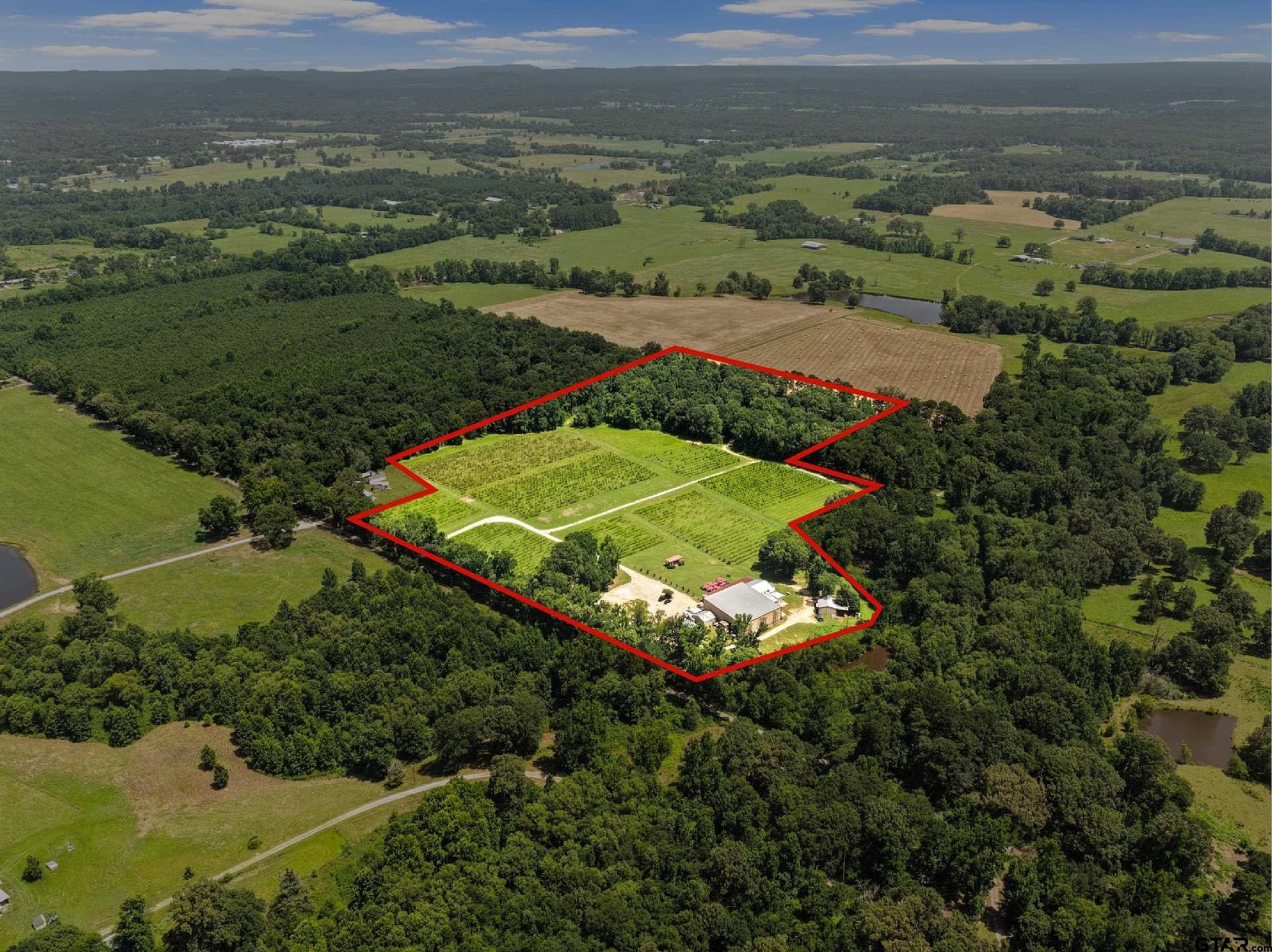 27.35 acres in Camp County - photo 37
