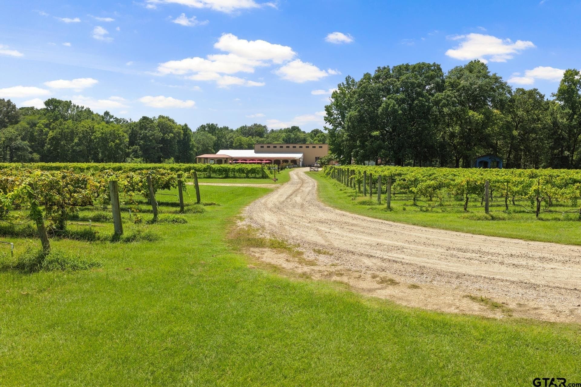 27.35 acres in Camp County - photo 3