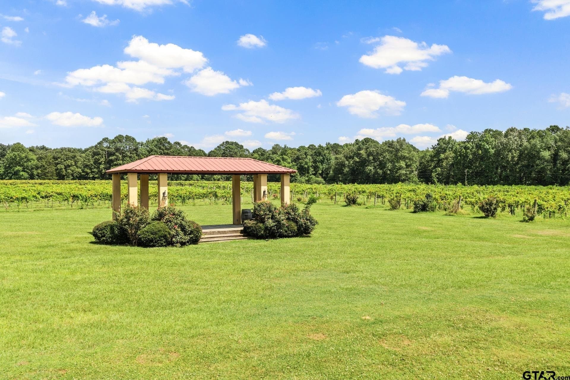 27.35 acres in Camp County - photo 4