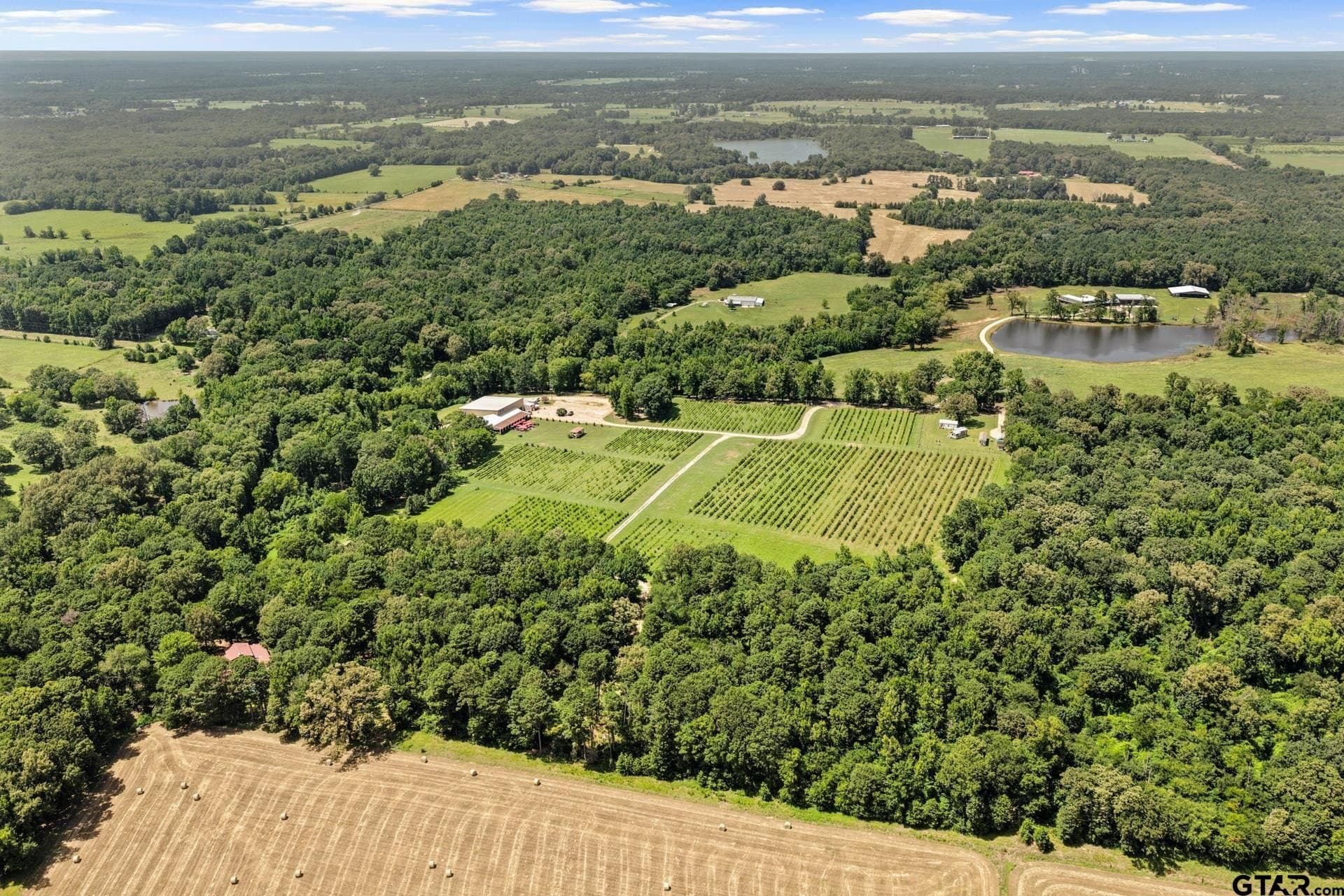 27.35 acres in Camp County - photo 36