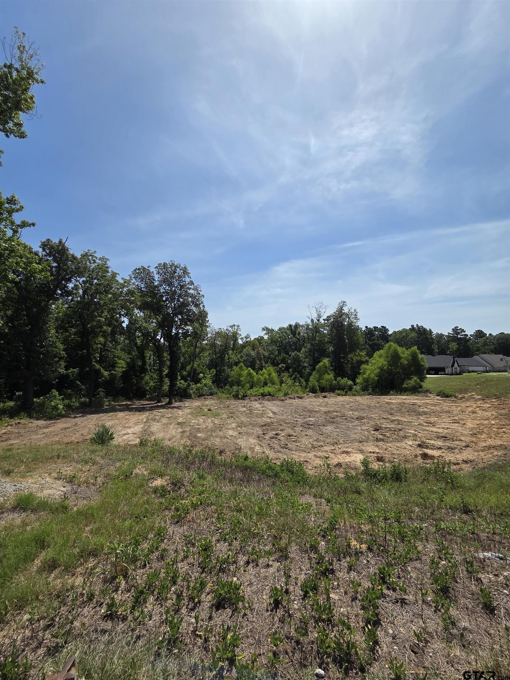 0.85 acres in Smith County gallery image 3