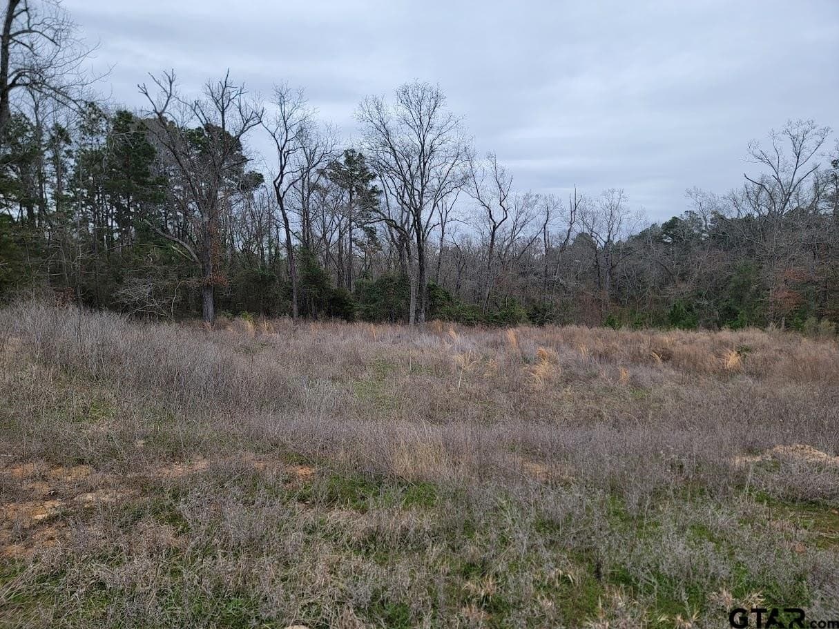 0.85 acres in Smith County gallery image 4