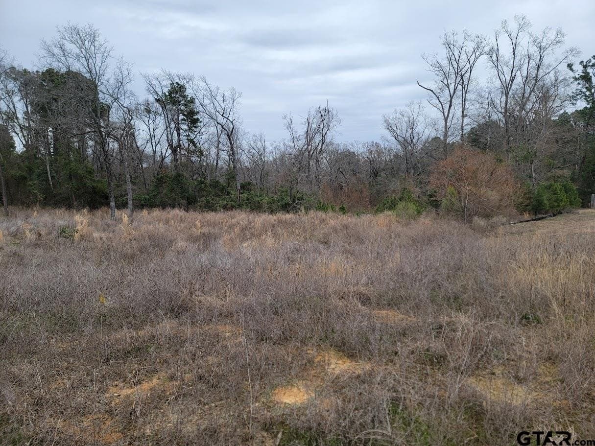 0.85 acres in Smith County featured view