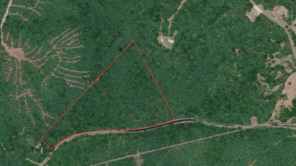 28.55 acres in Texas County - photo 18