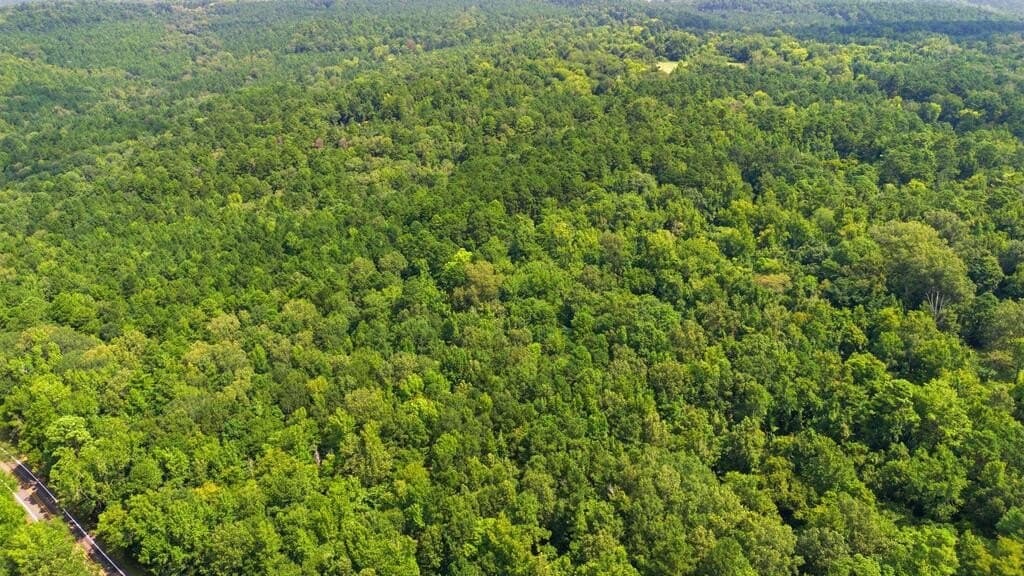 28.55 acres in Texas County - photo 12