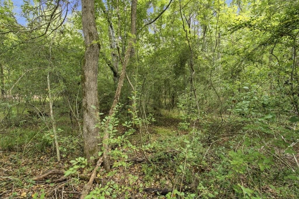 28.55 acres in Texas County - photo 3