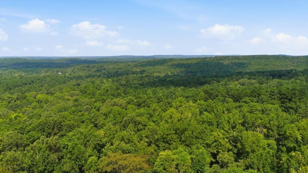 28.55 acres in Texas County - photo 13