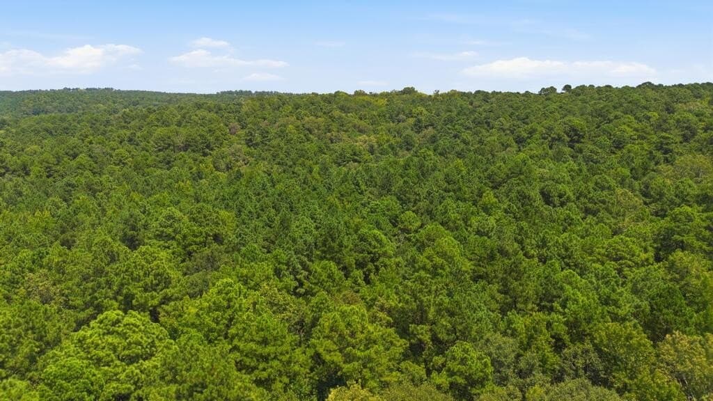 28.55 acres in Texas County - photo 17