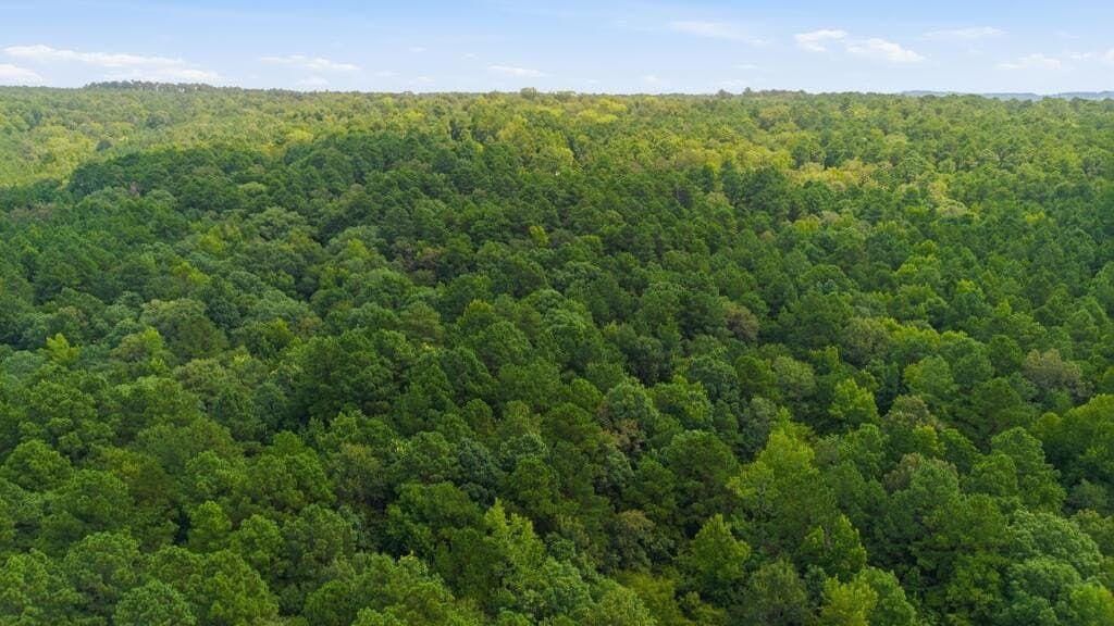 28.55 acres in Texas County - photo 14