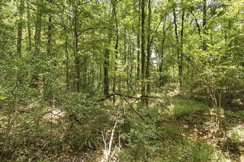 28.55 acres in Texas County - photo 4