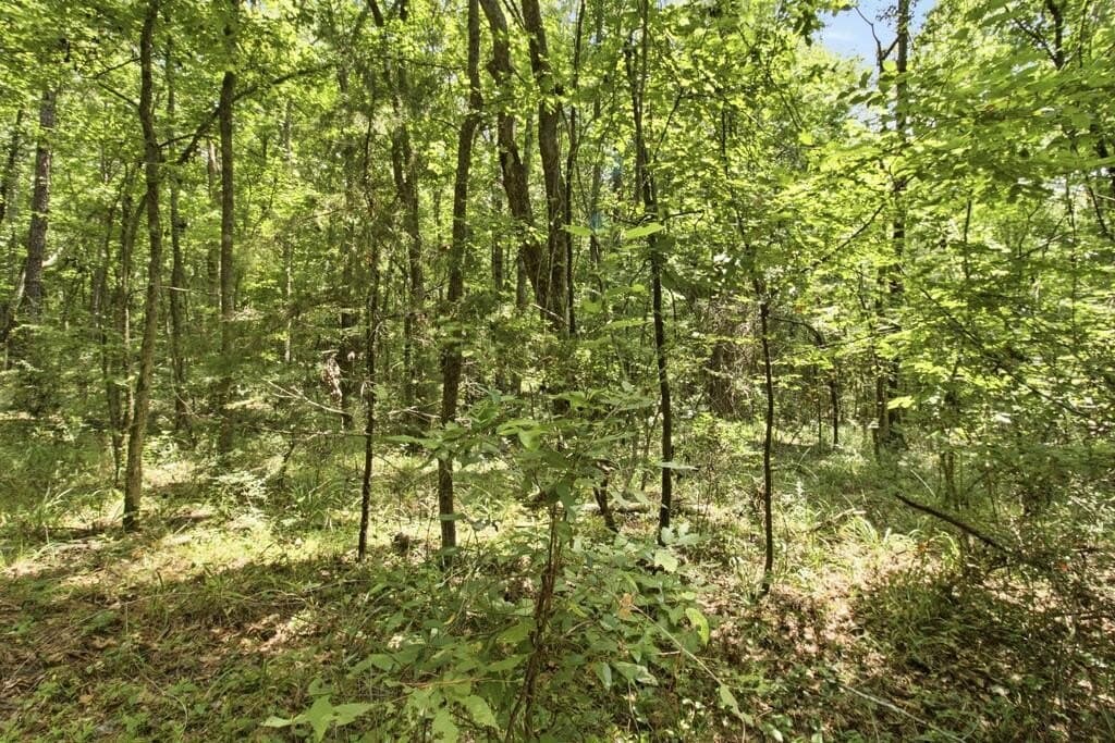 28.55 acres in Texas County - photo 8