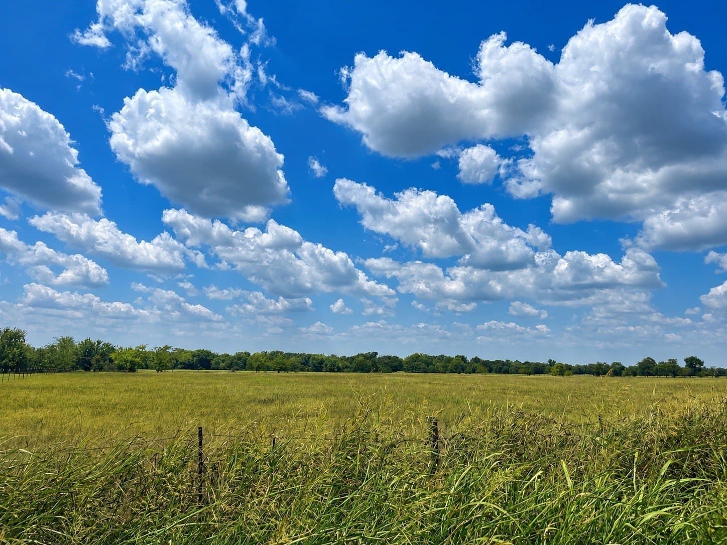 11 acres in Hopkins County - photo 5