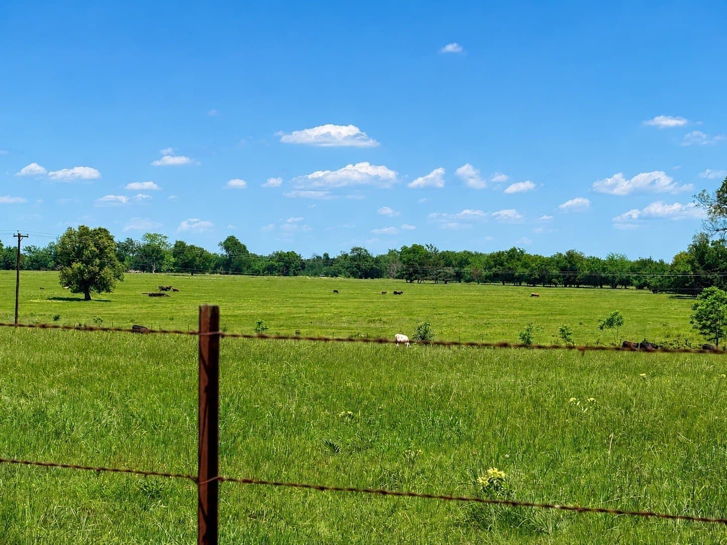 11 acres in Hopkins County - photo 3