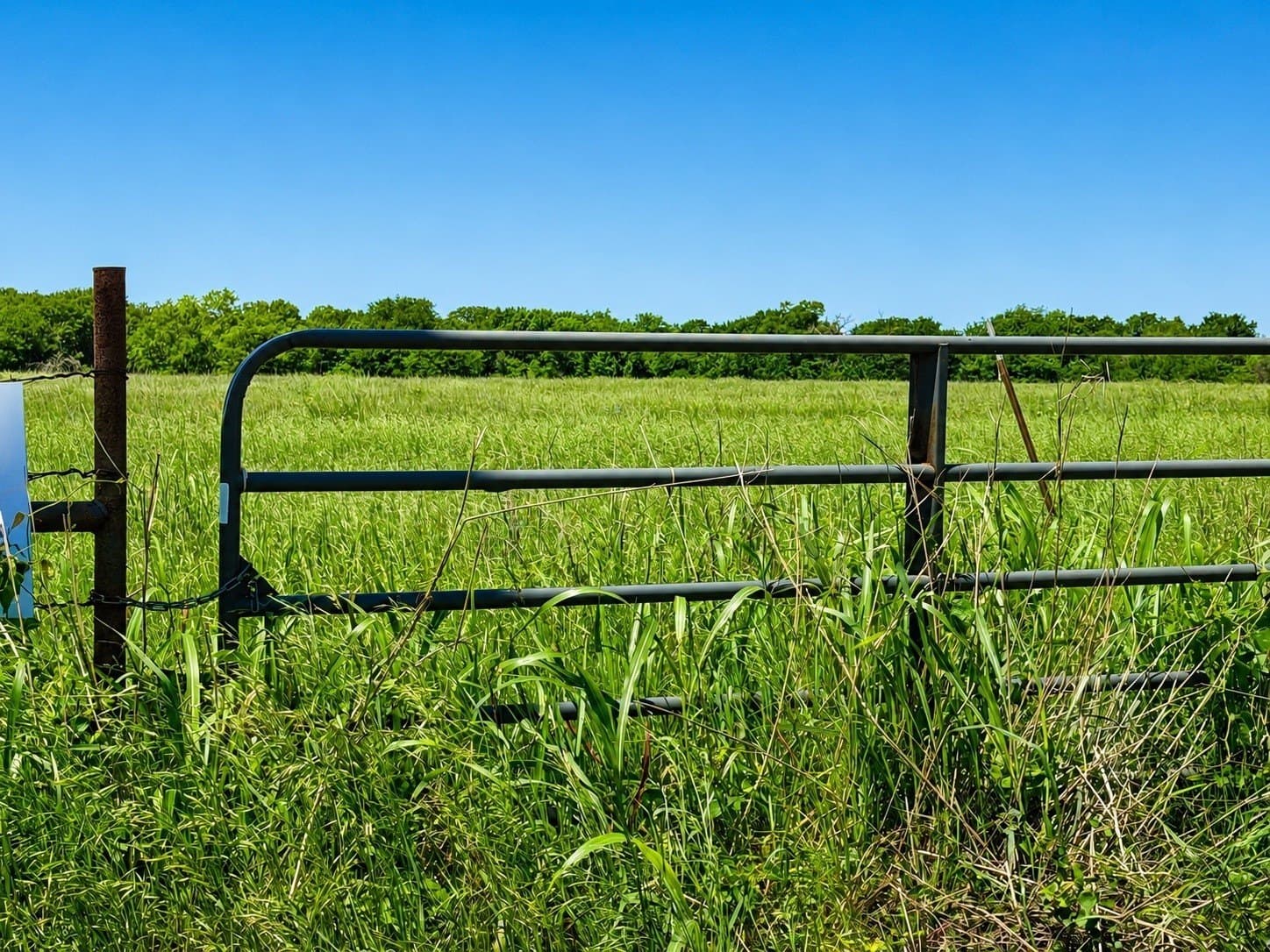 11 acres in Hopkins County - photo 2