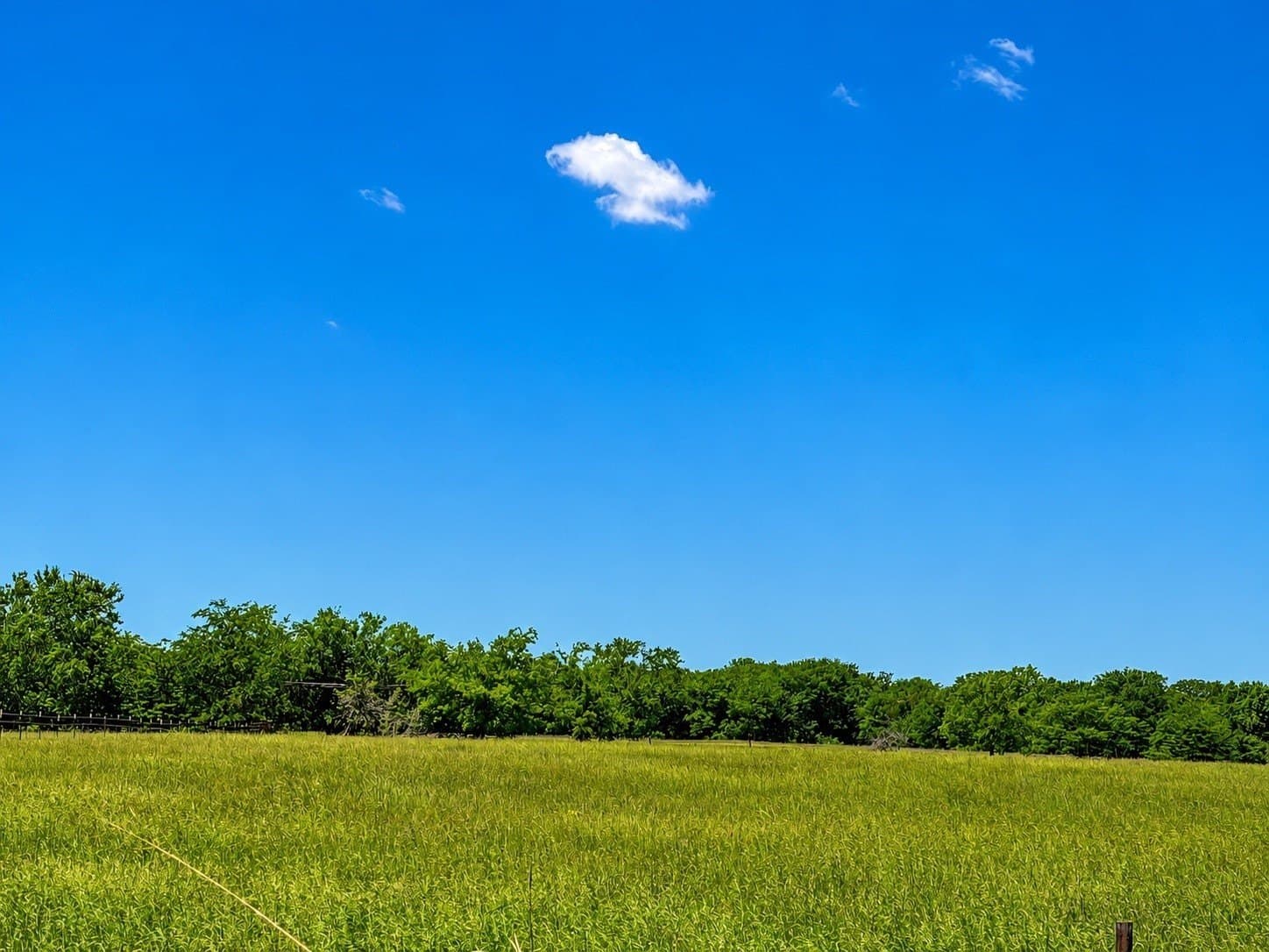 11 acres in Hopkins County - photo 4