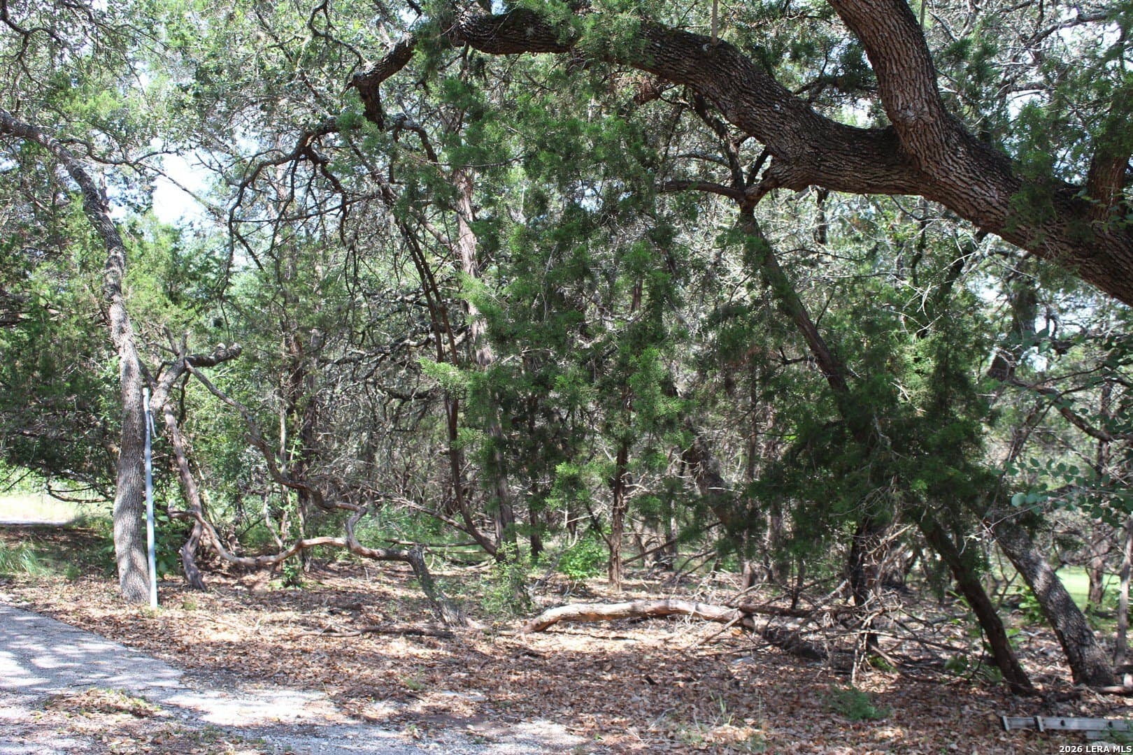 0.86 acres in Comal County gallery image 3