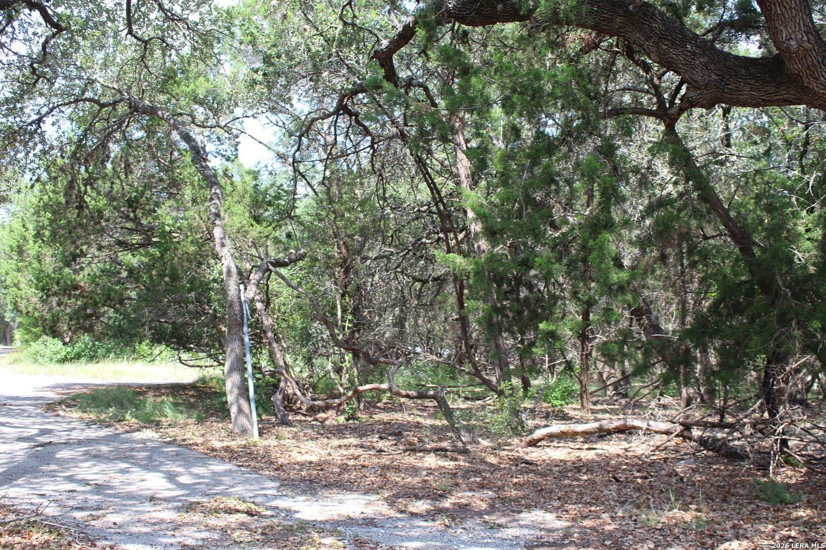0.86 acres in Comal County gallery image 4