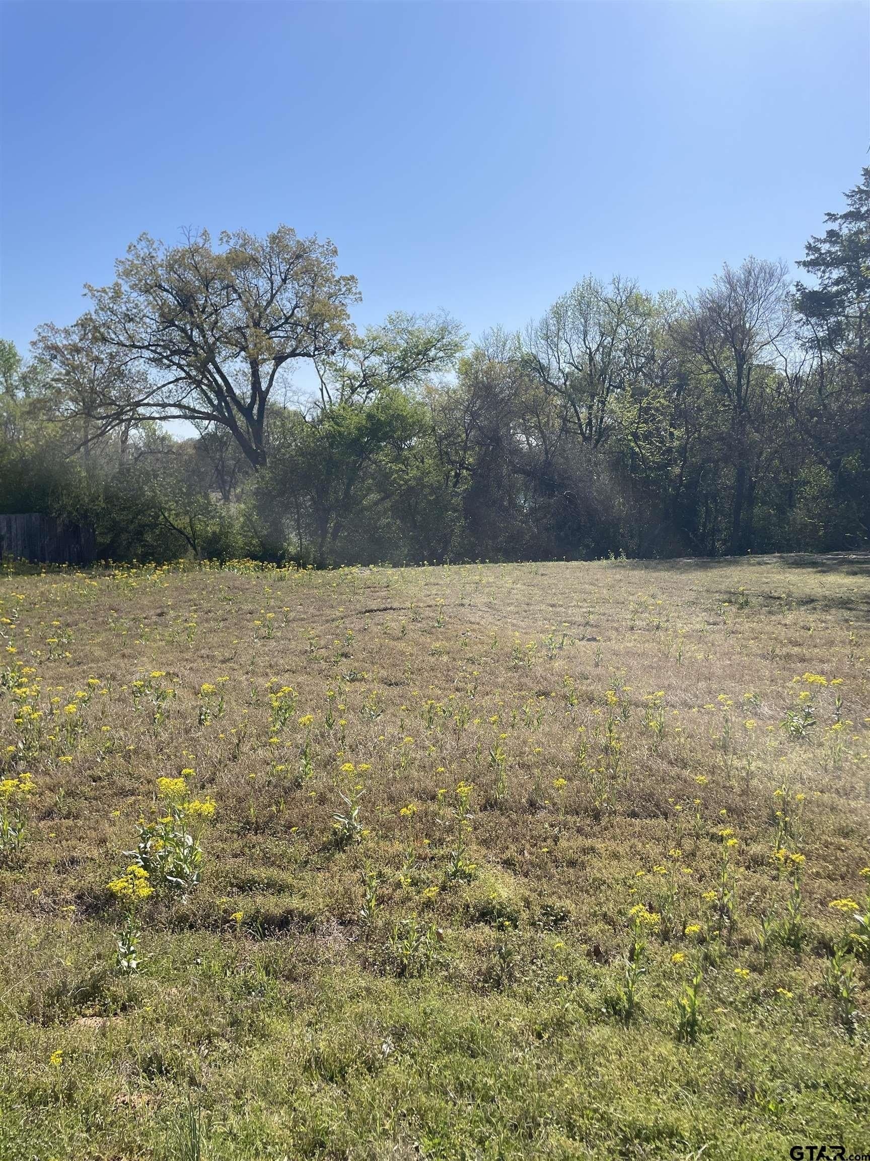 0.47 acres in Franklin County gallery image 3