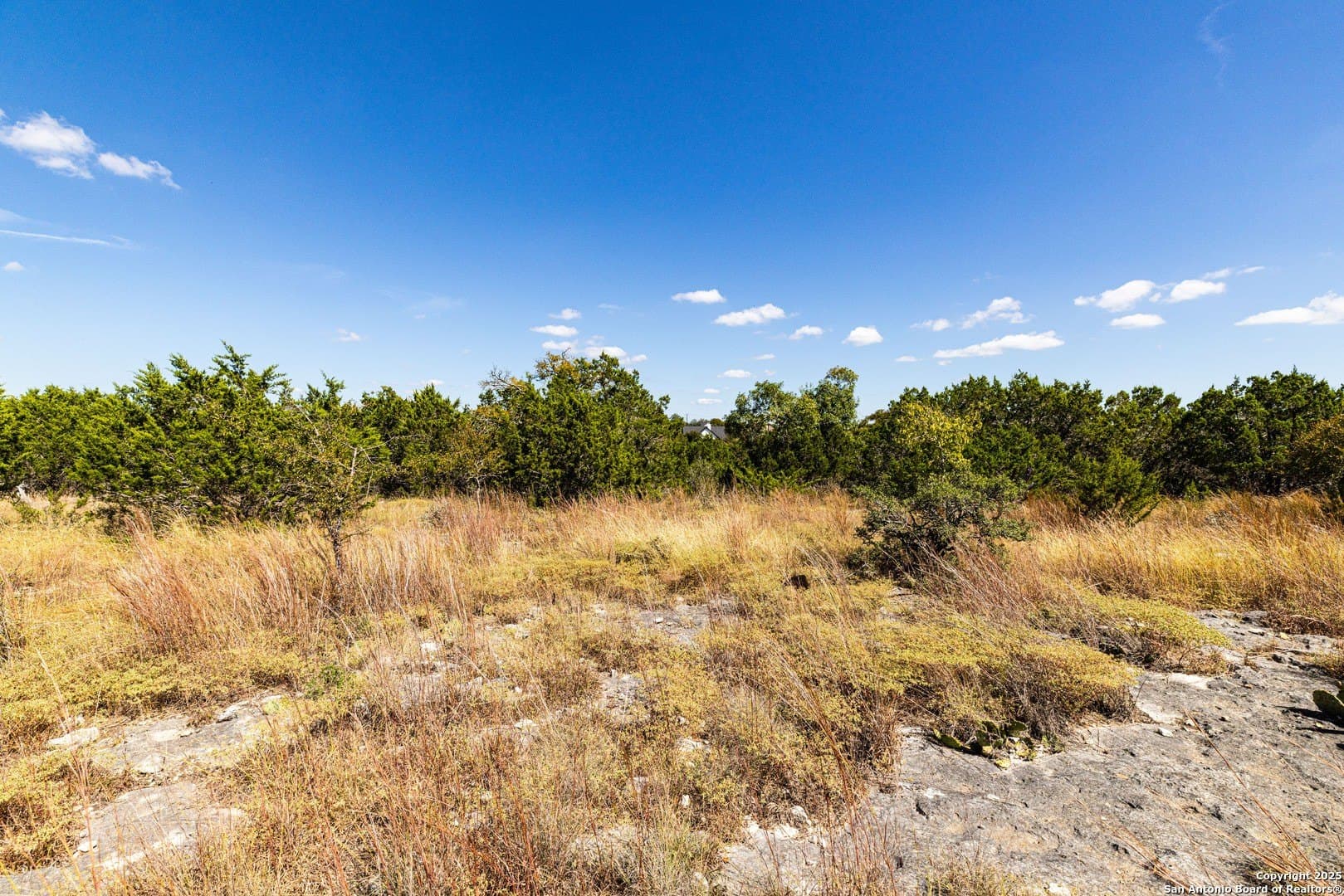 0.22 acres in Blanco County - photo 14
