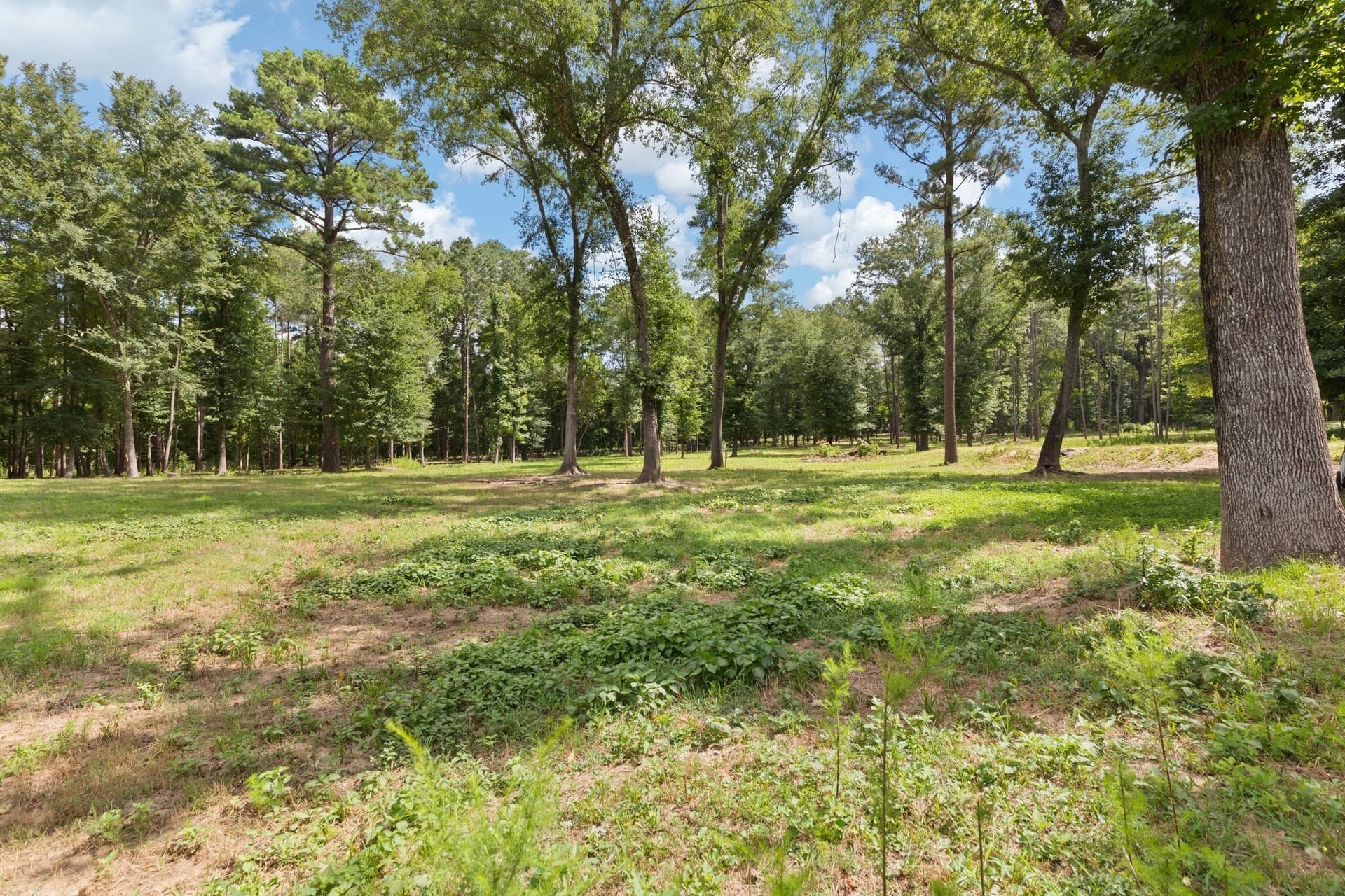19.52 acres in Wood County - photo 36