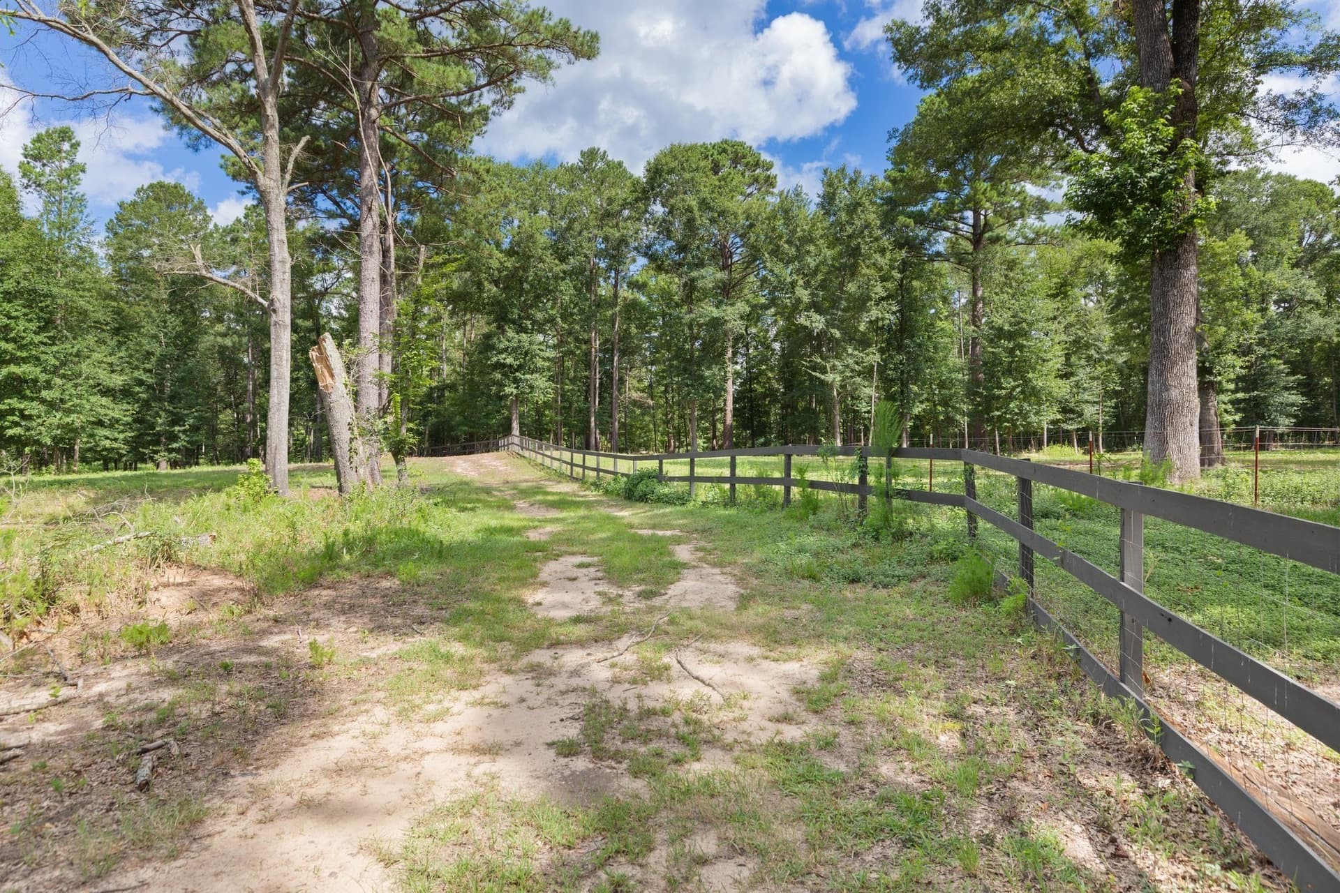 19.52 acres in Wood County - photo 35