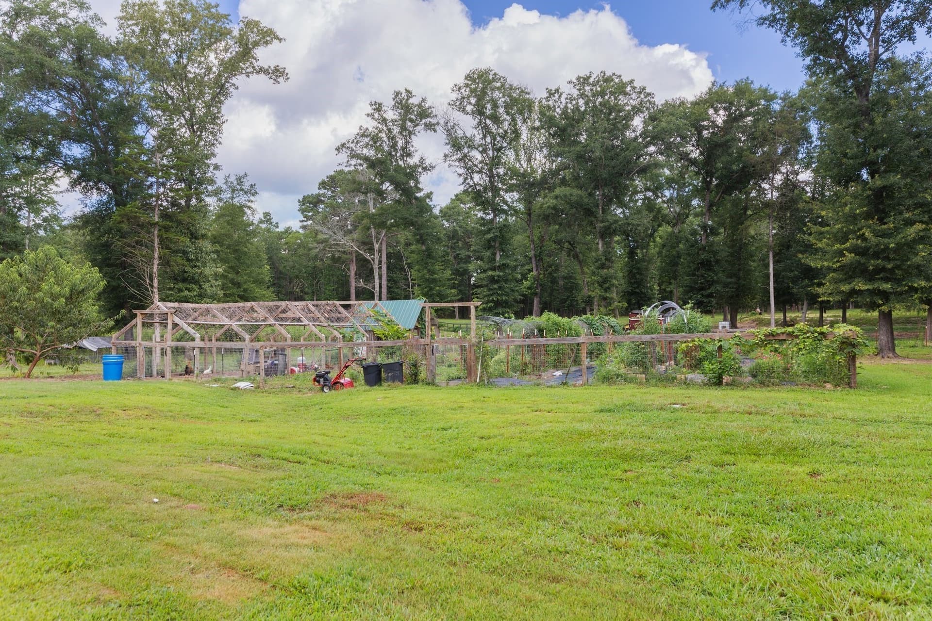 19.52 acres in Wood County - photo 29