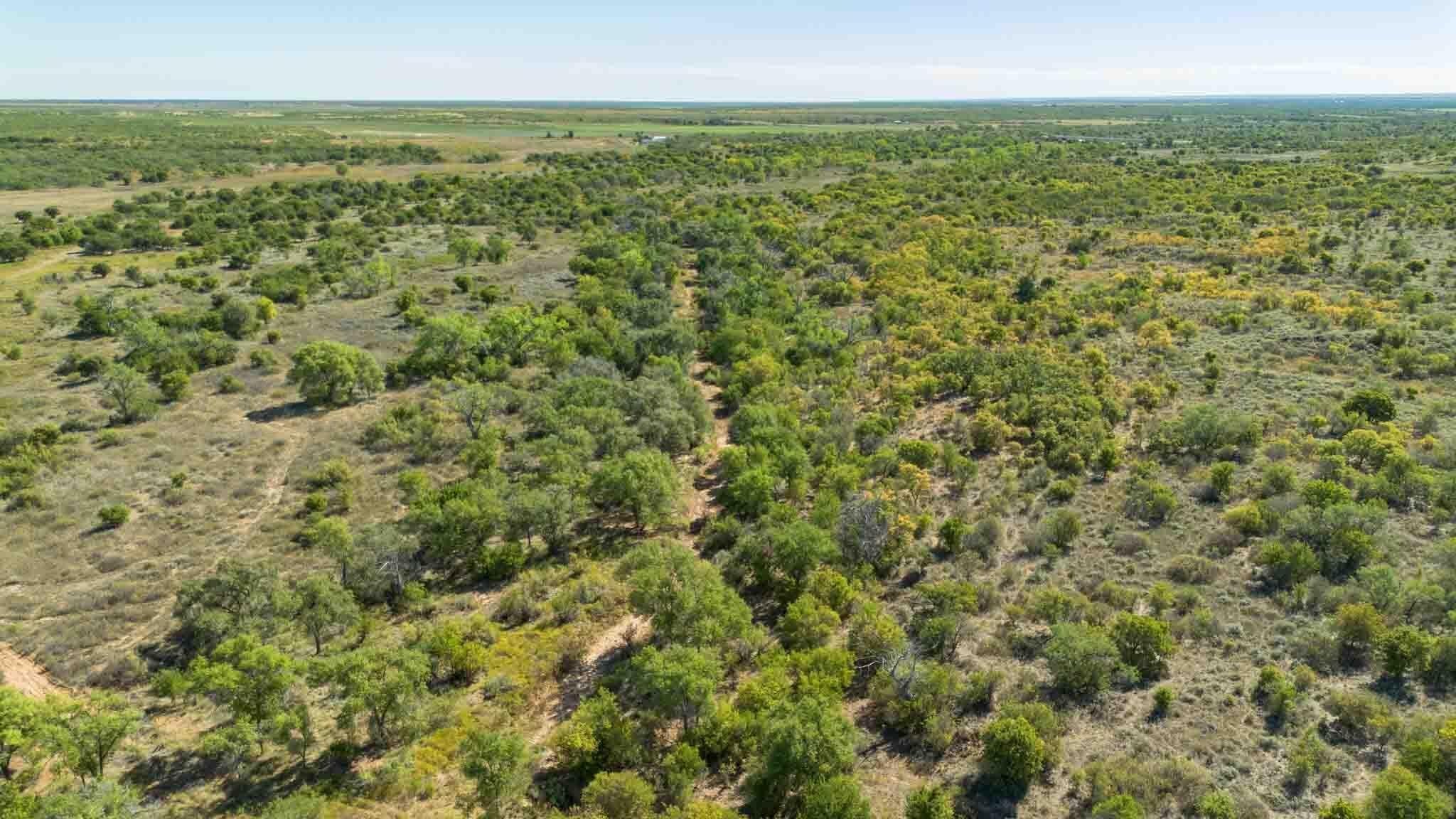 320 acres in Childress County gallery image 4
