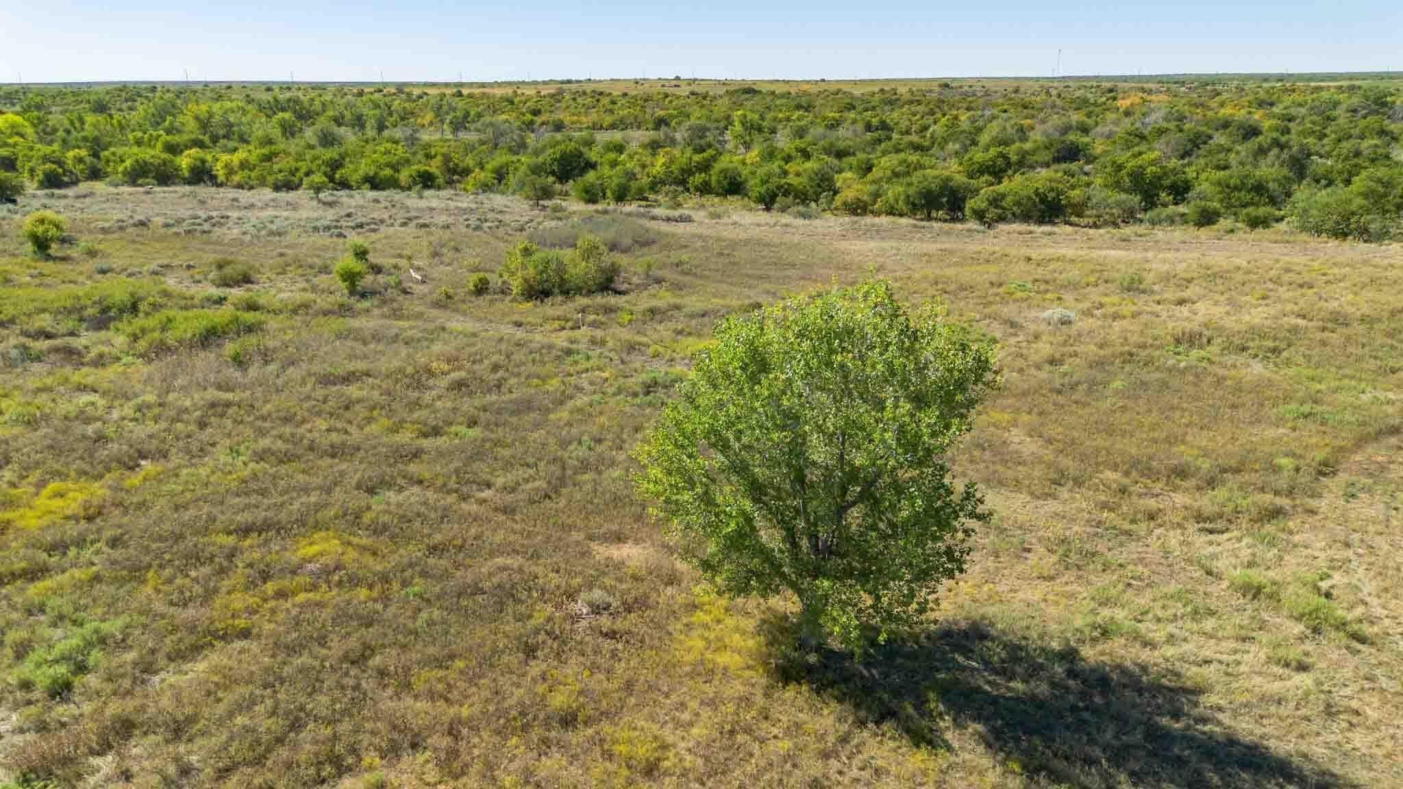 320 acres in Childress County - photo 11