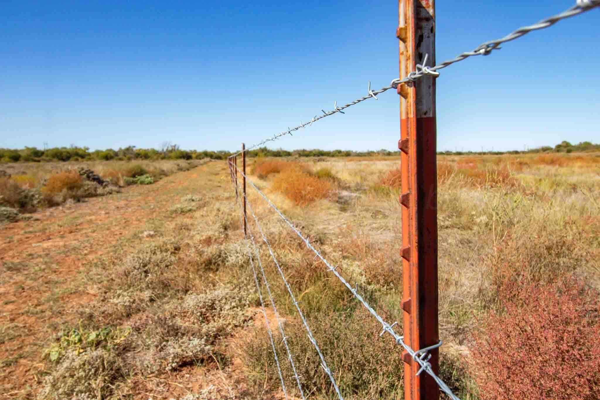 320 acres in Childress County - photo 41