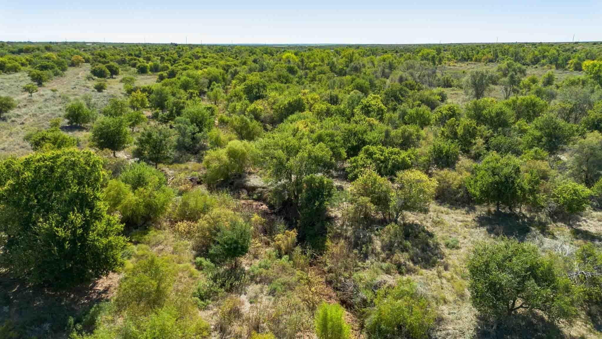 320 acres in Childress County - photo 8