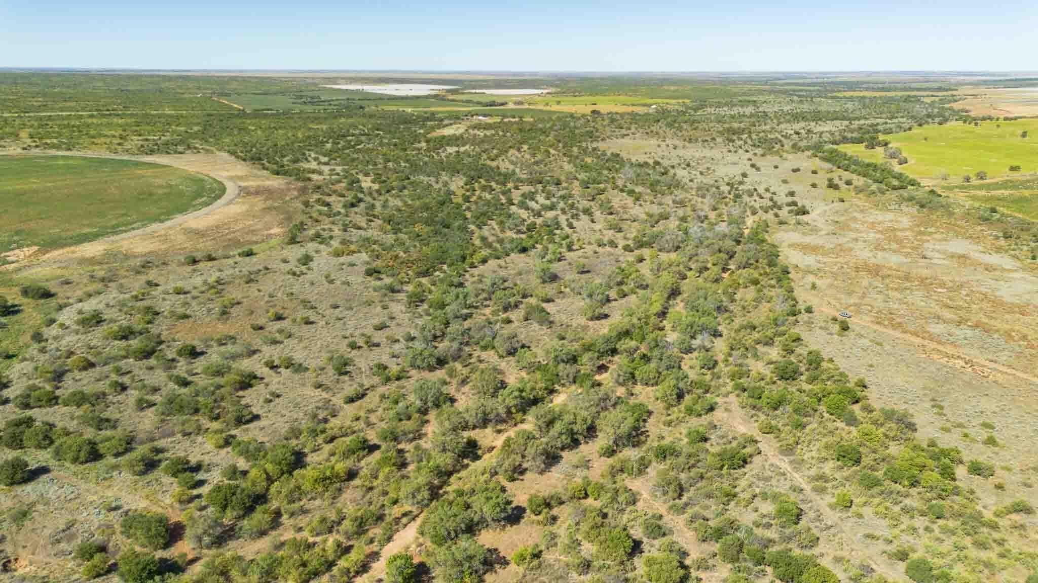 320 acres in Childress County gallery image 3