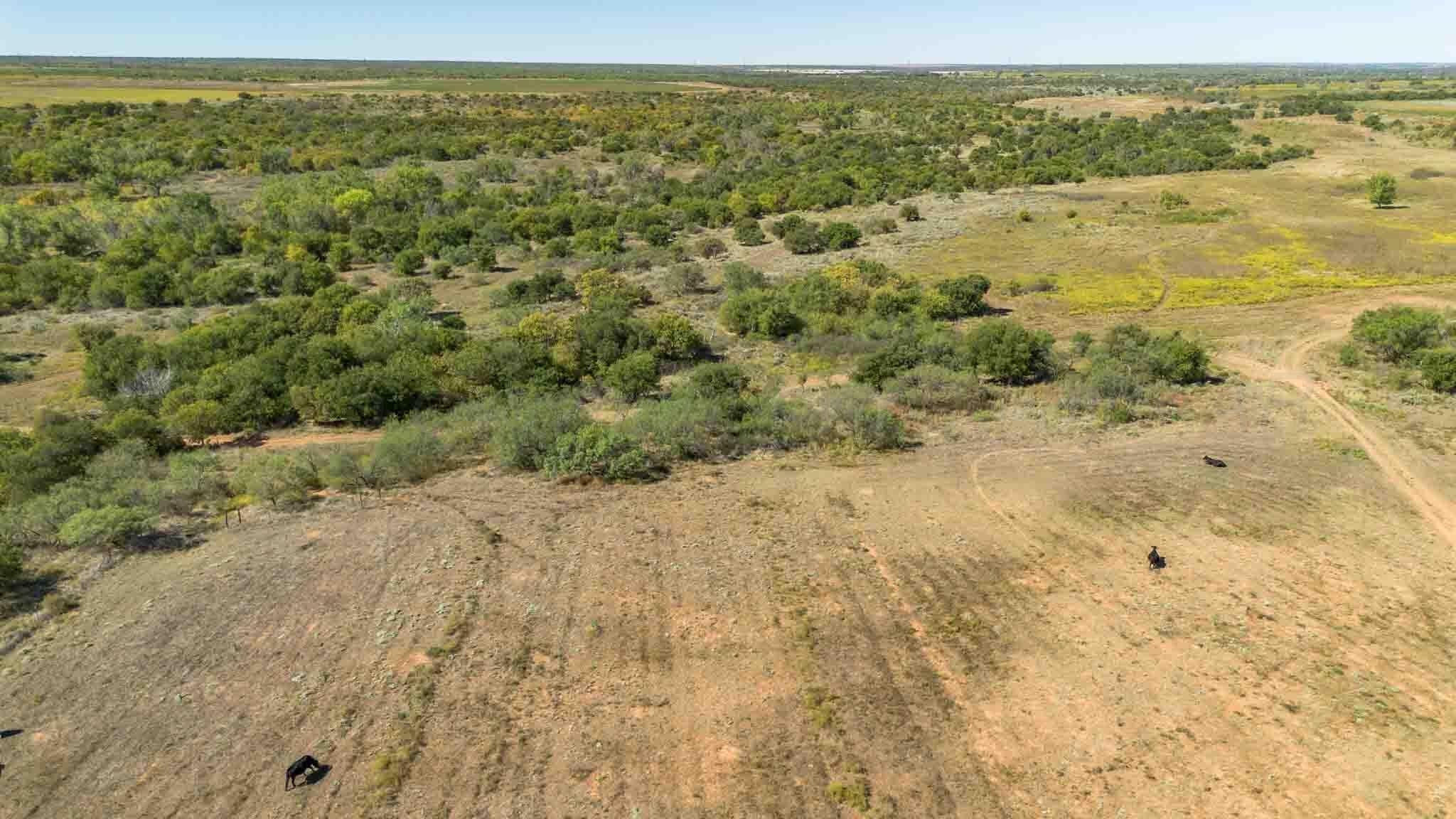 320 acres in Childress County - photo 19
