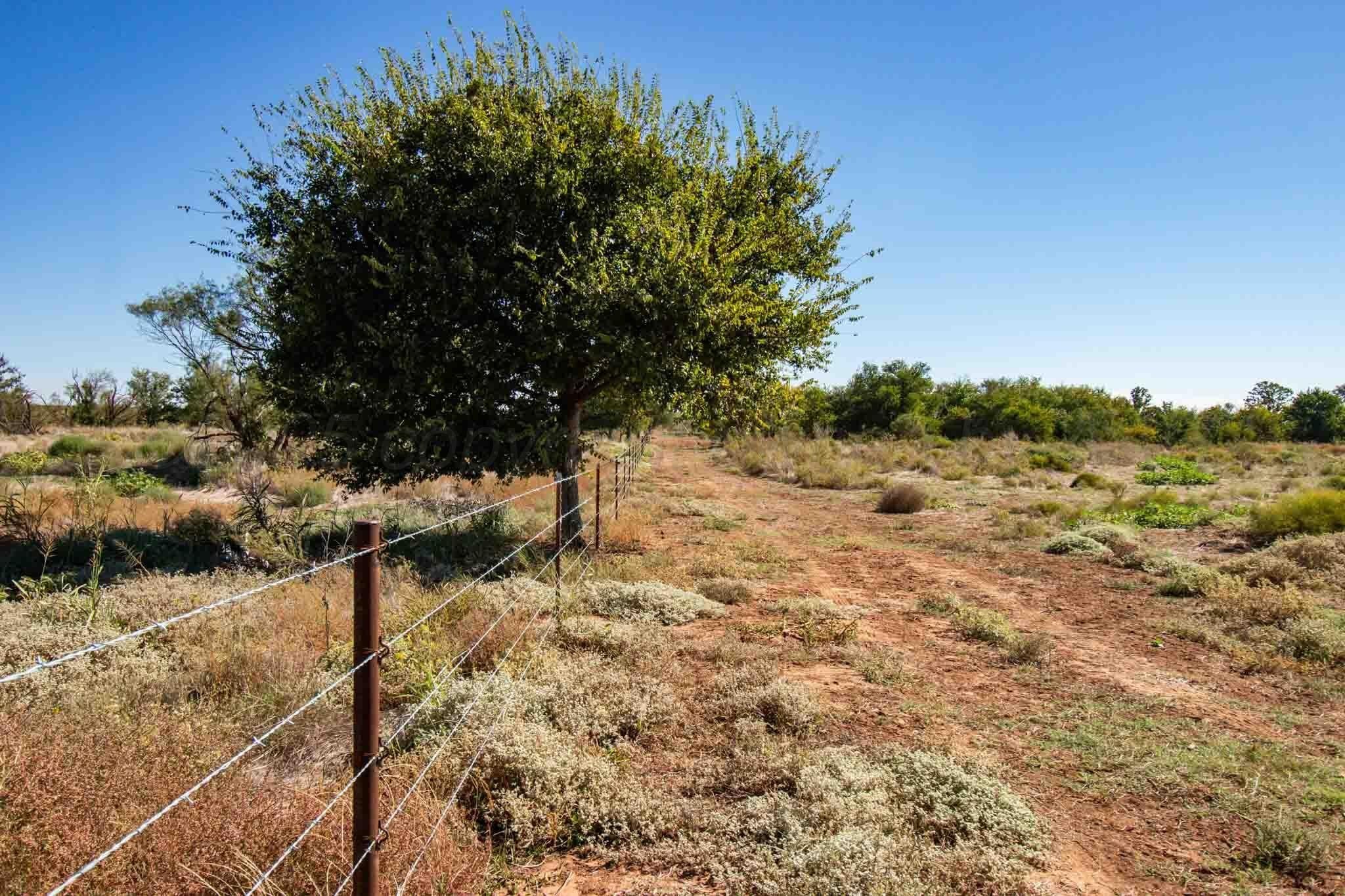 320 acres in Childress County - photo 40