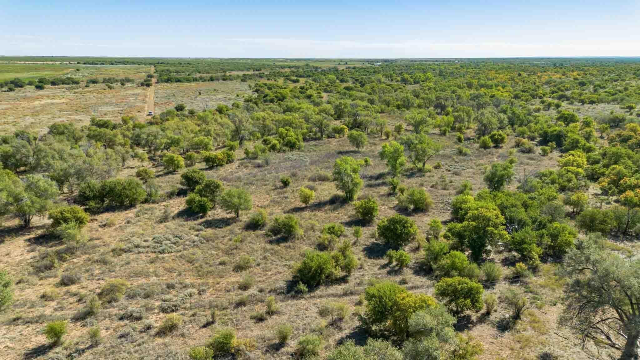 320 acres in Childress County - photo 12