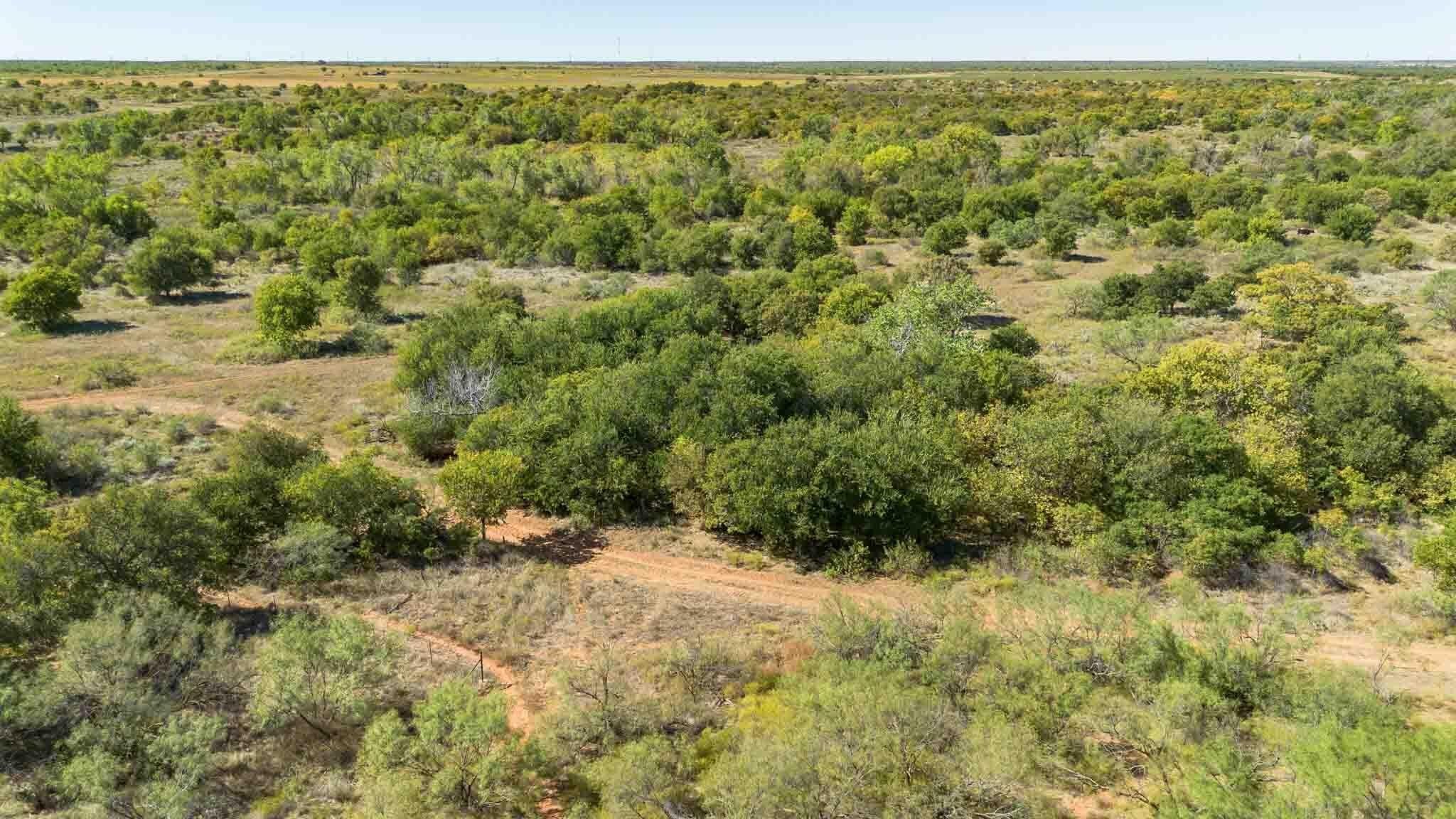 320 acres in Childress County - photo 18
