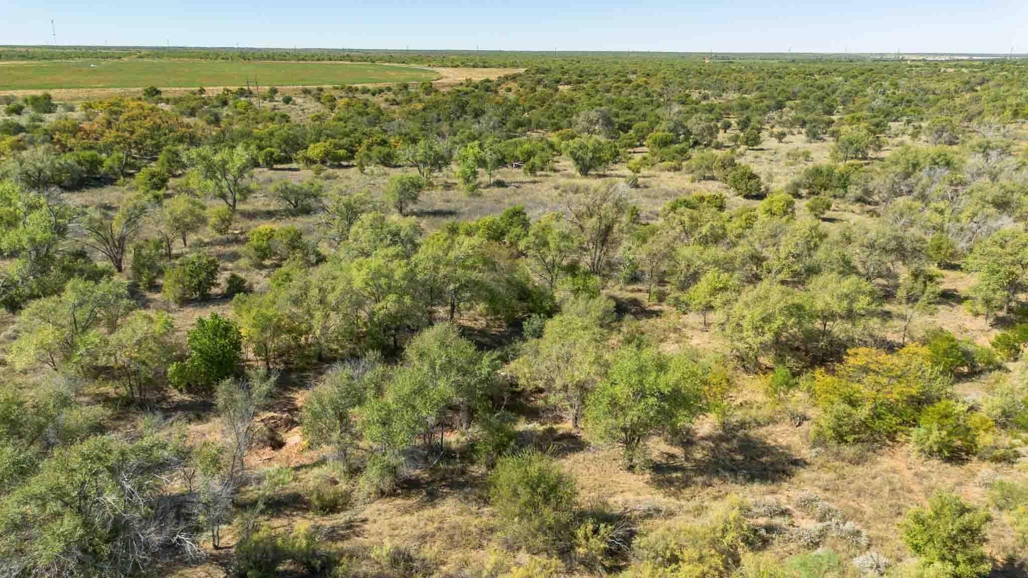 320 acres in Childress County - photo 38