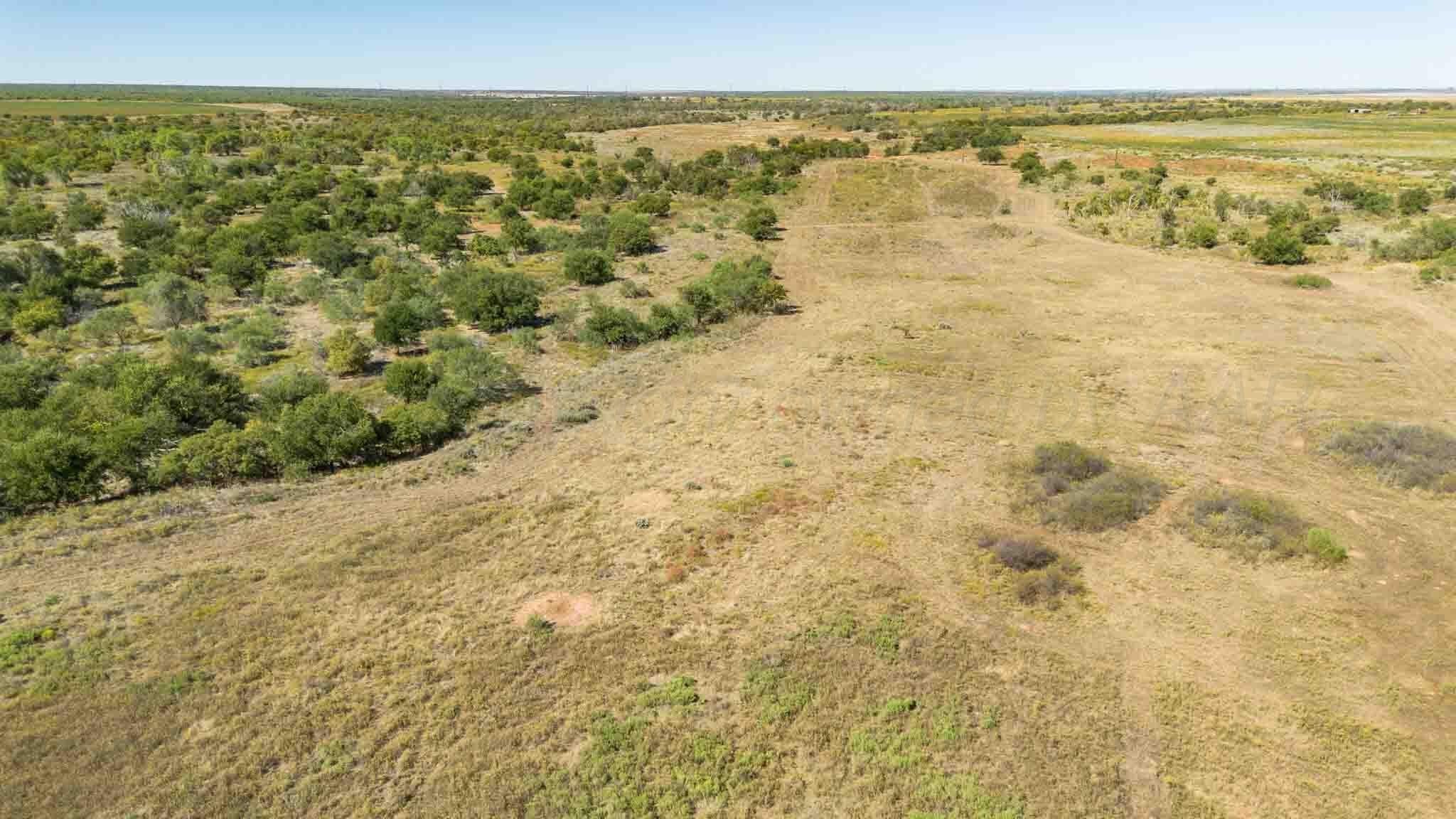 320 acres in Childress County - photo 6