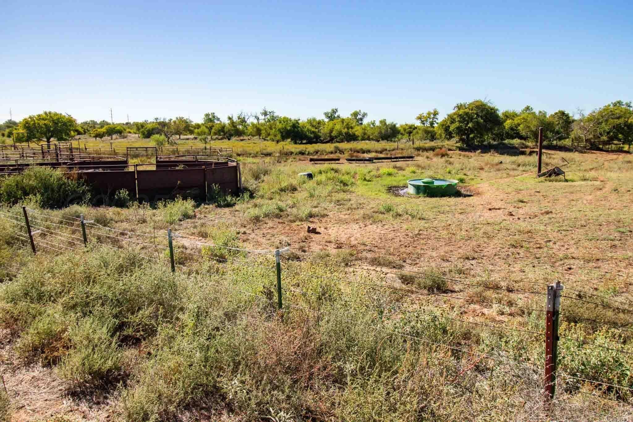 320 acres in Childress County - photo 27