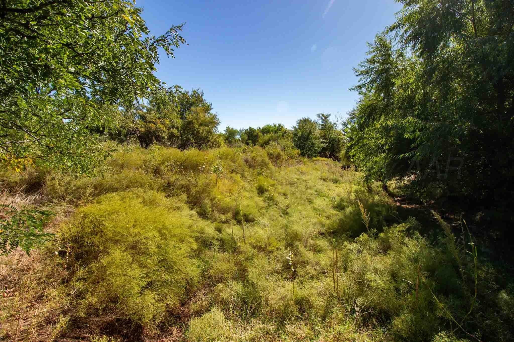 320 acres in Childress County - photo 10