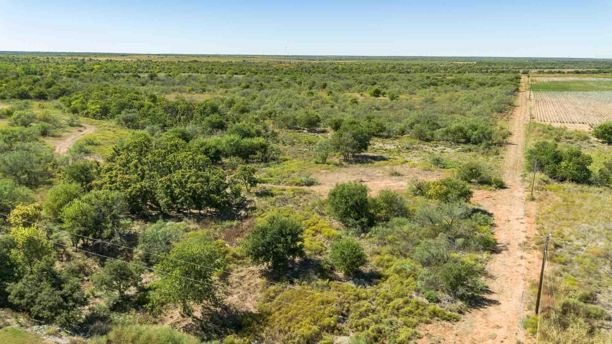 320 acres in Childress County - photo 32