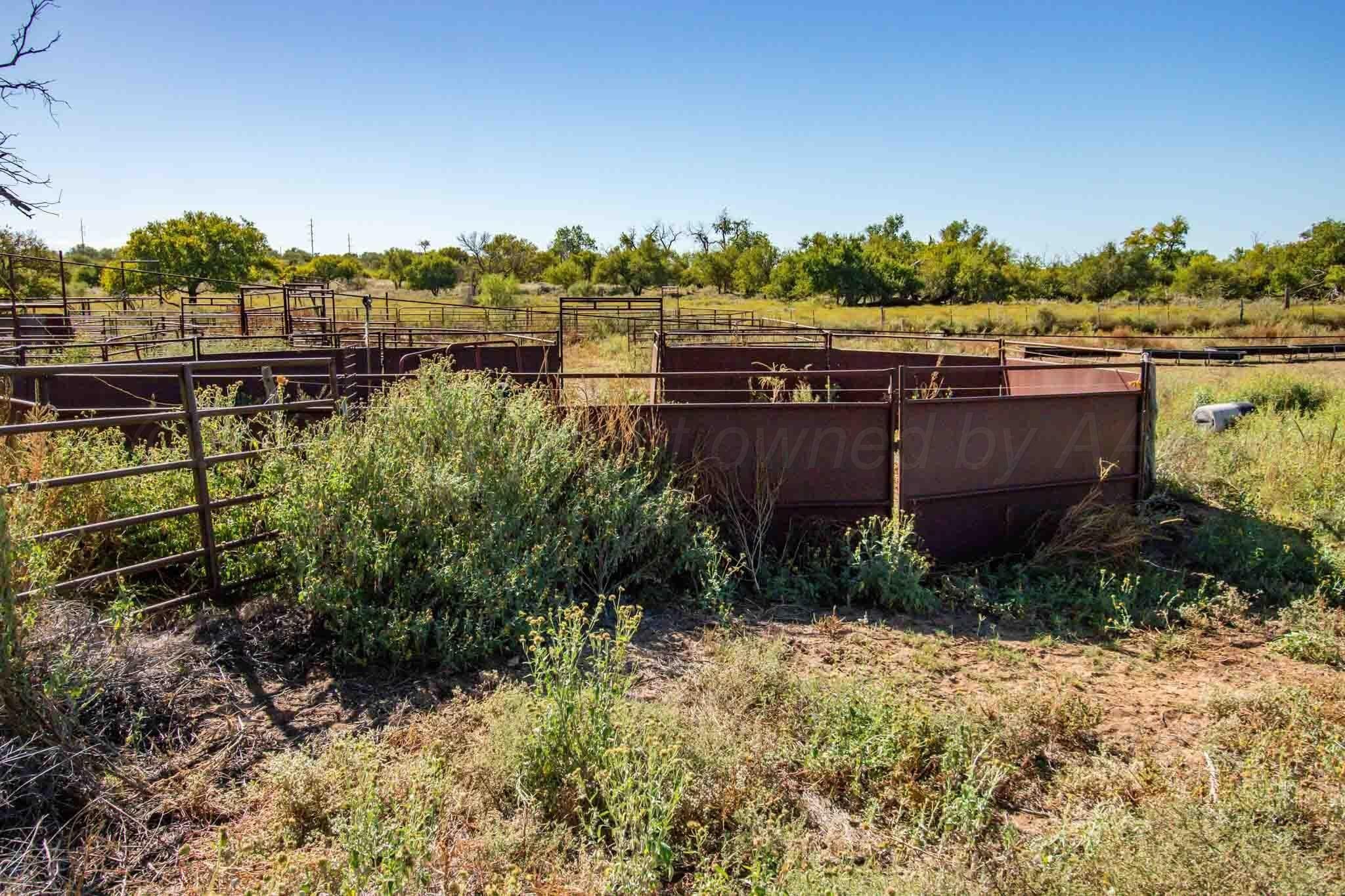 320 acres in Childress County - photo 28
