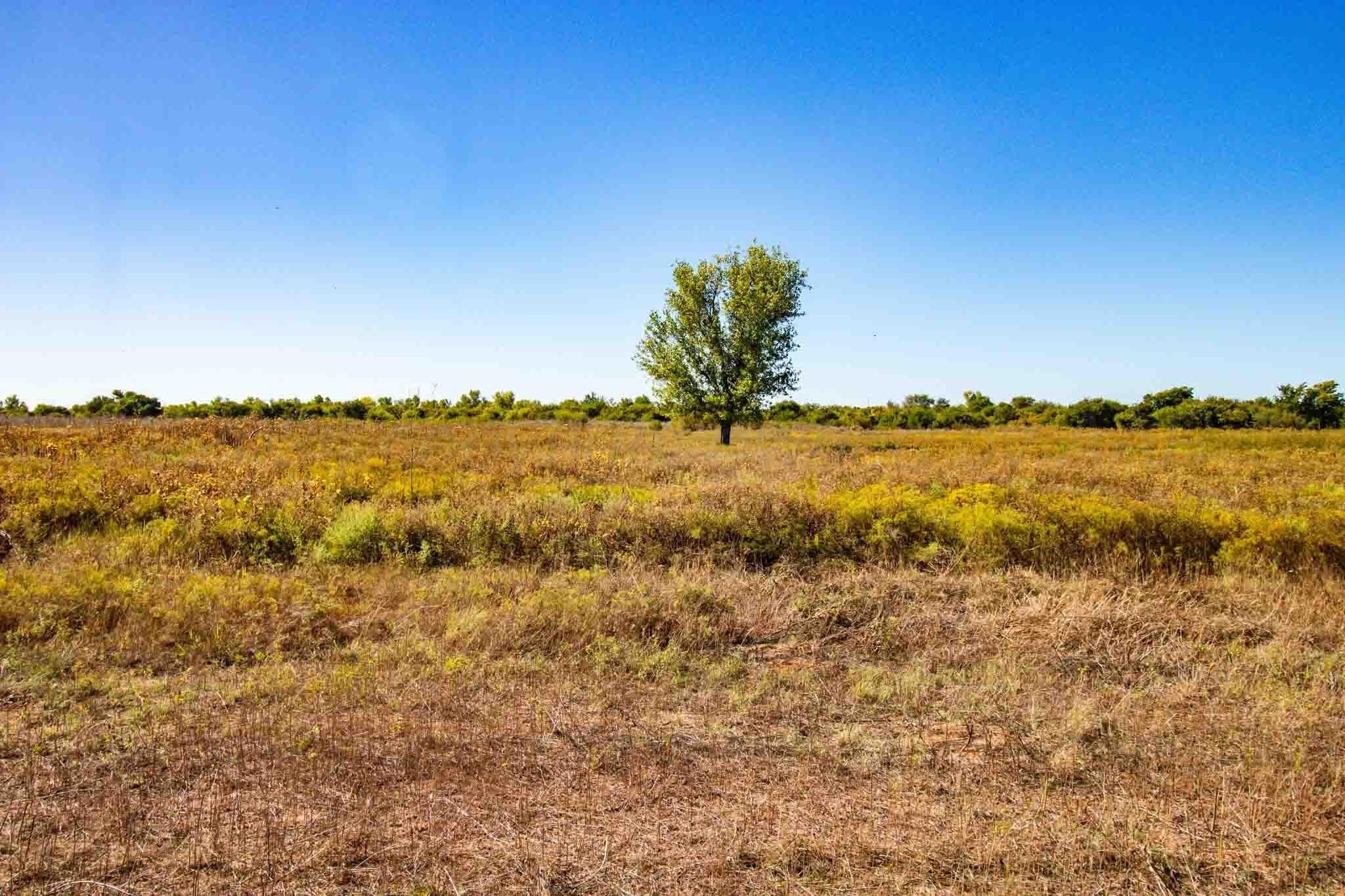 320 acres in Childress County - photo 14