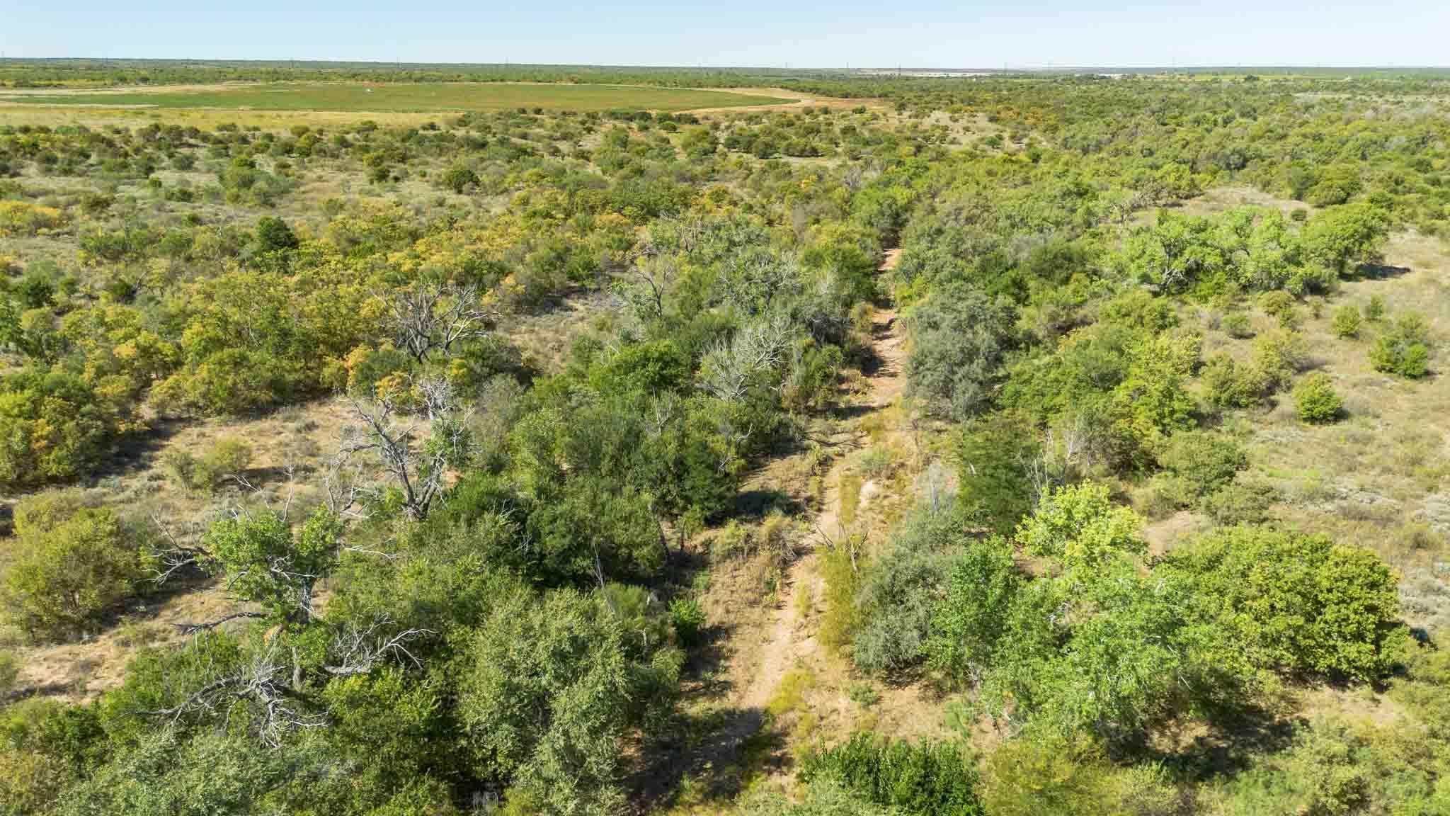320 acres in Childress County gallery image 2