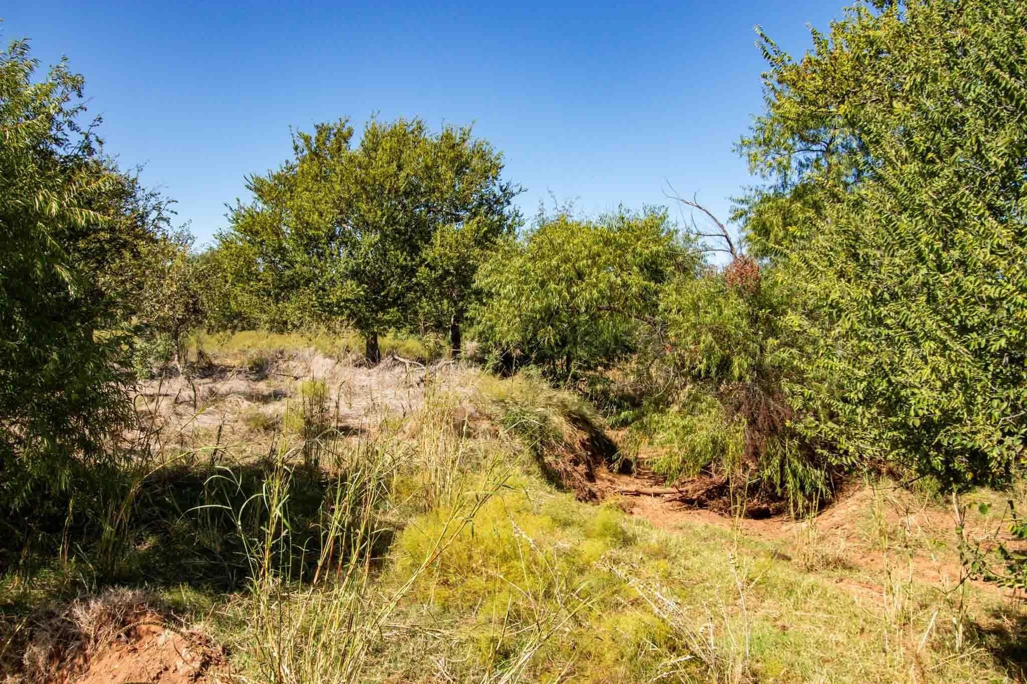 320 acres in Childress County - photo 9