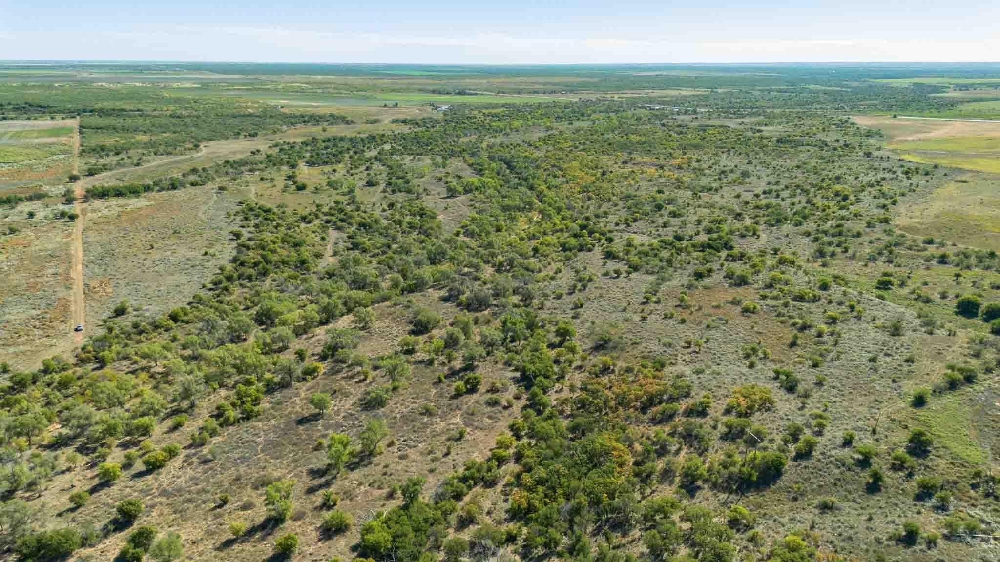 320 acres in Childress County - photo 15