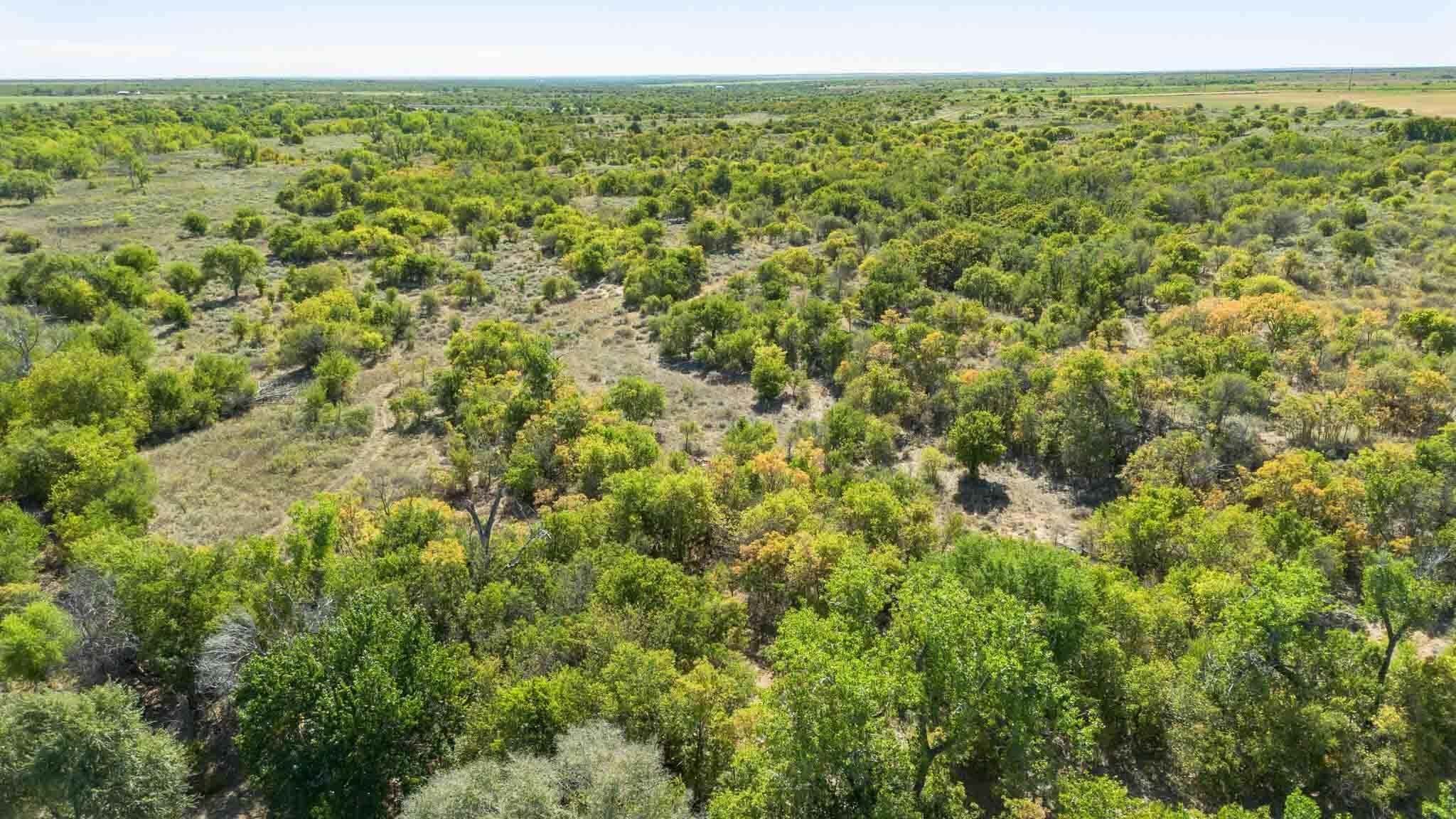 320 acres in Childress County featured view