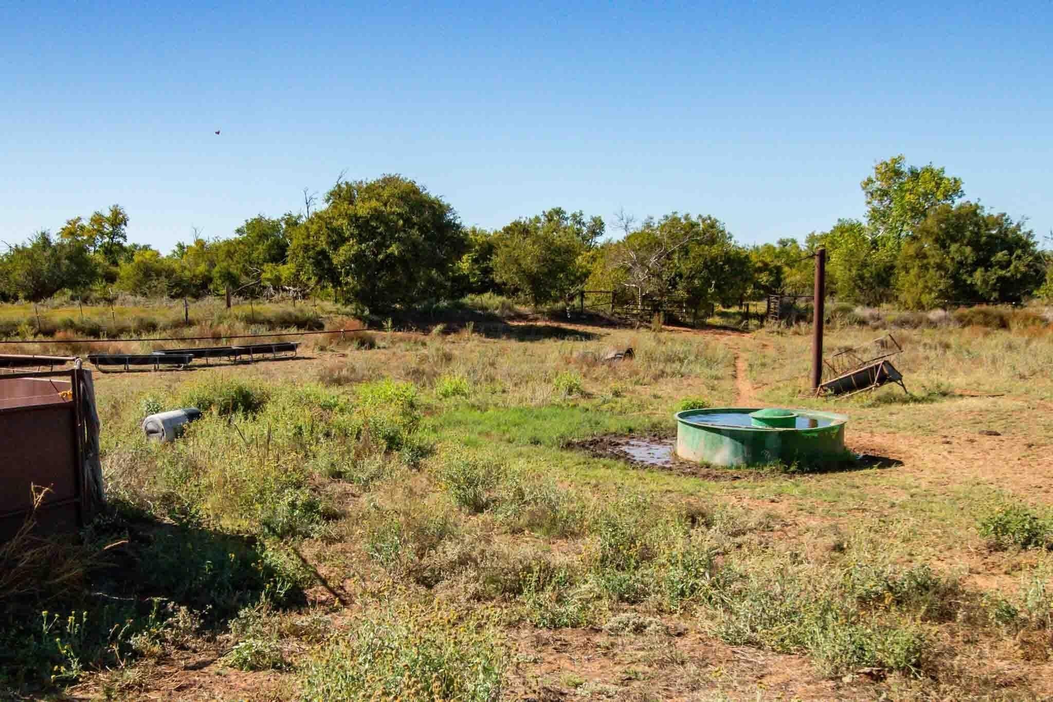 320 acres in Childress County - photo 29