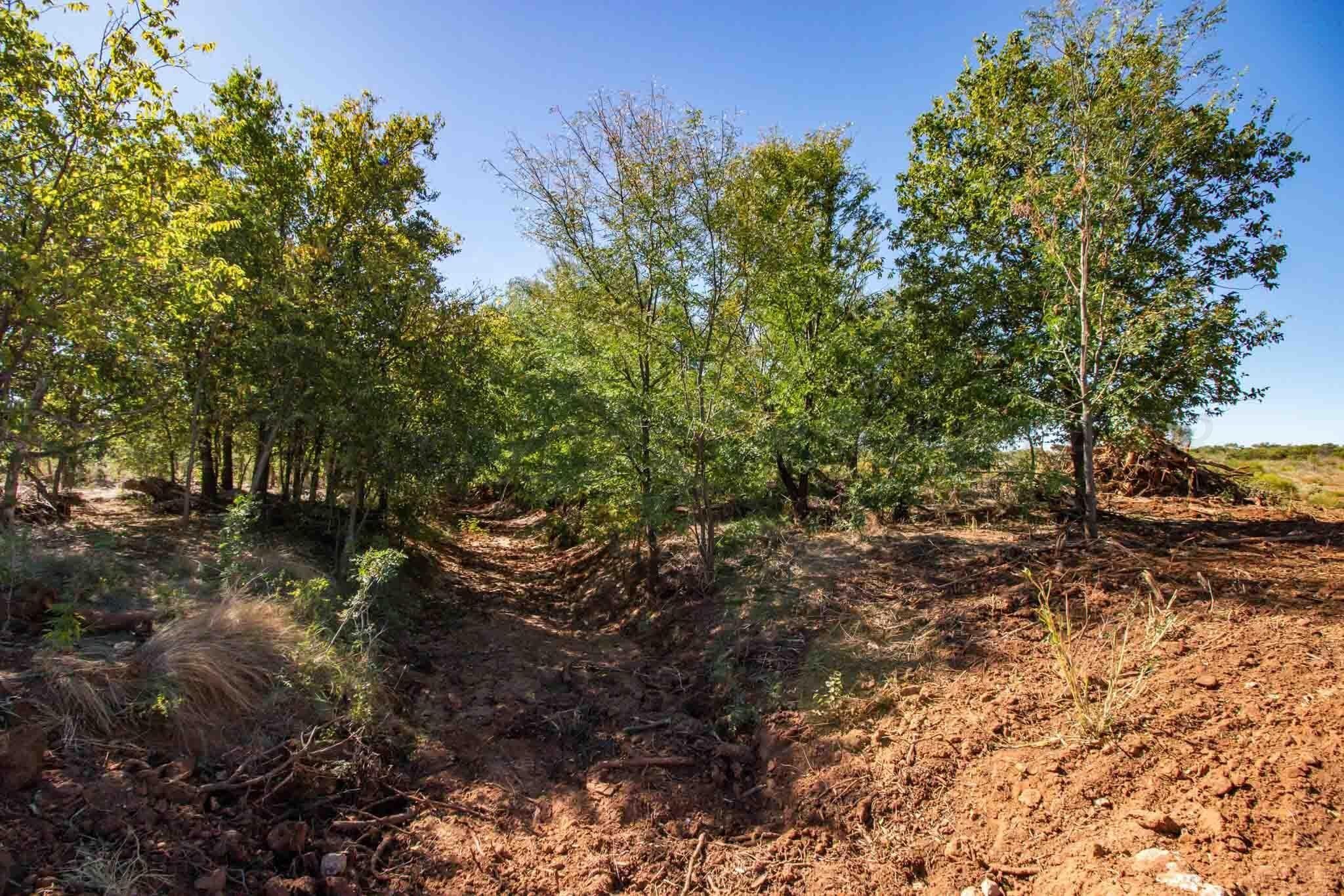320 acres in Childress County - photo 13