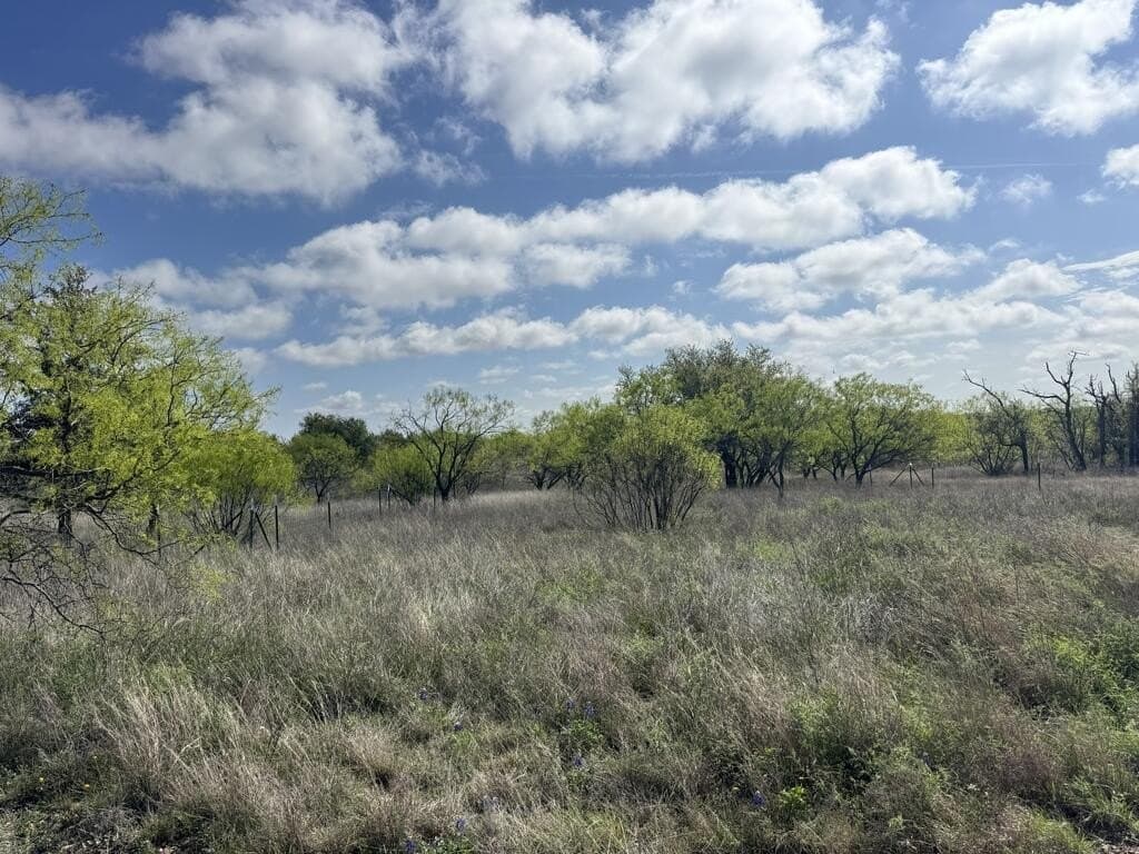 16.53 acres in Menard County - photo 32