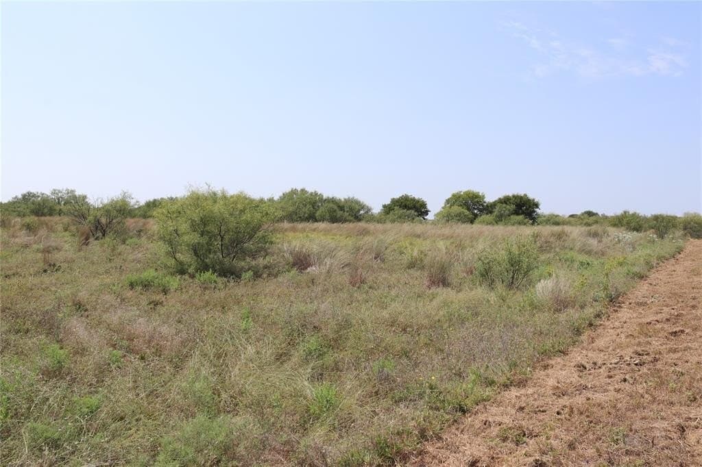 15.34 acres in Clay County featured view